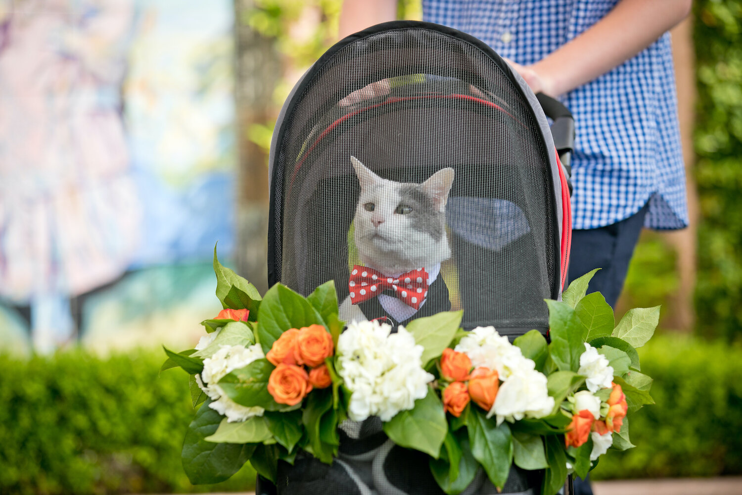 ArrowoodPhotography-MorganEvents-SameSexWedding-Warren-Scott-6.jpeg