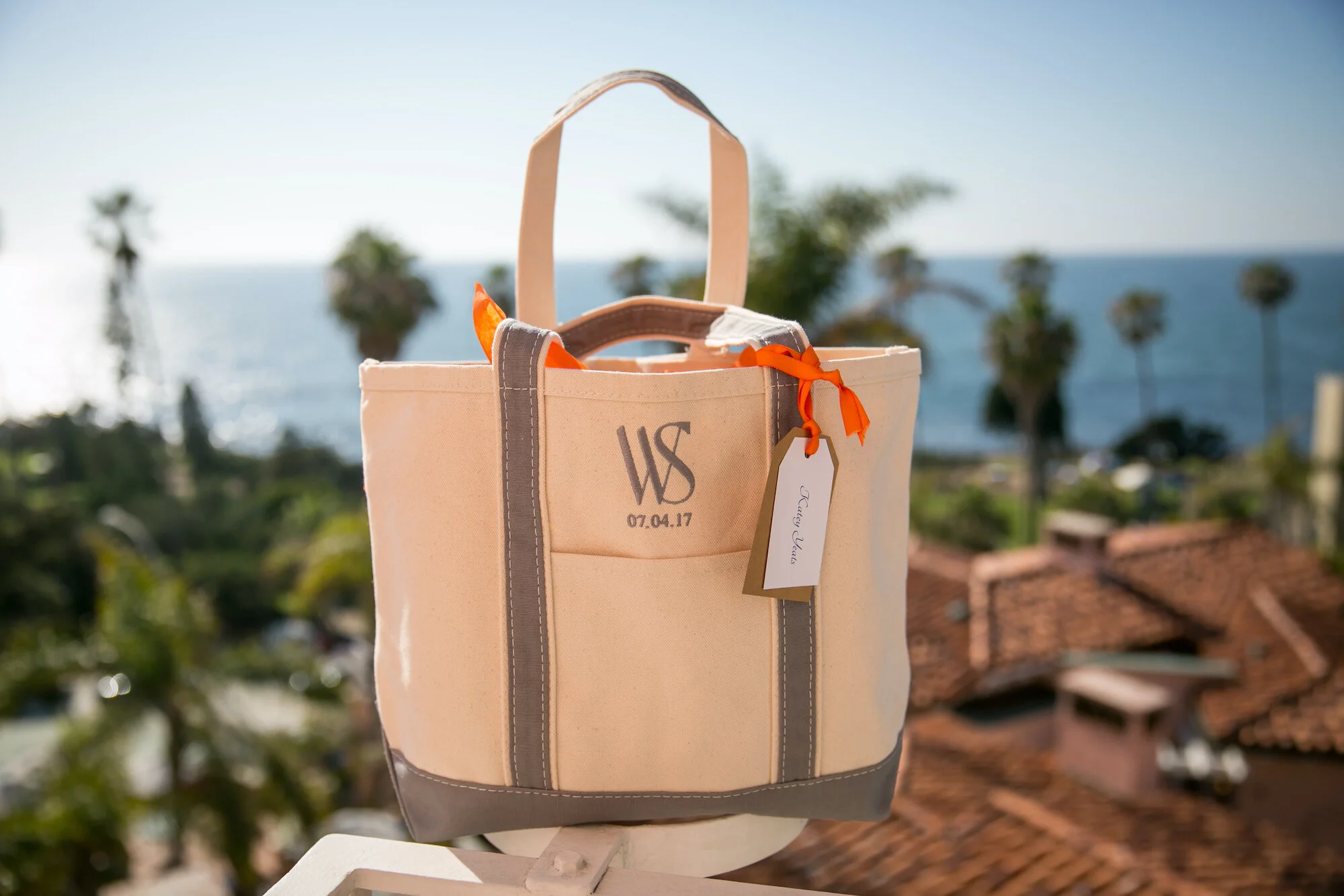 Destination Wedding- La Jolla, California- Two Grooms Who Love Cats