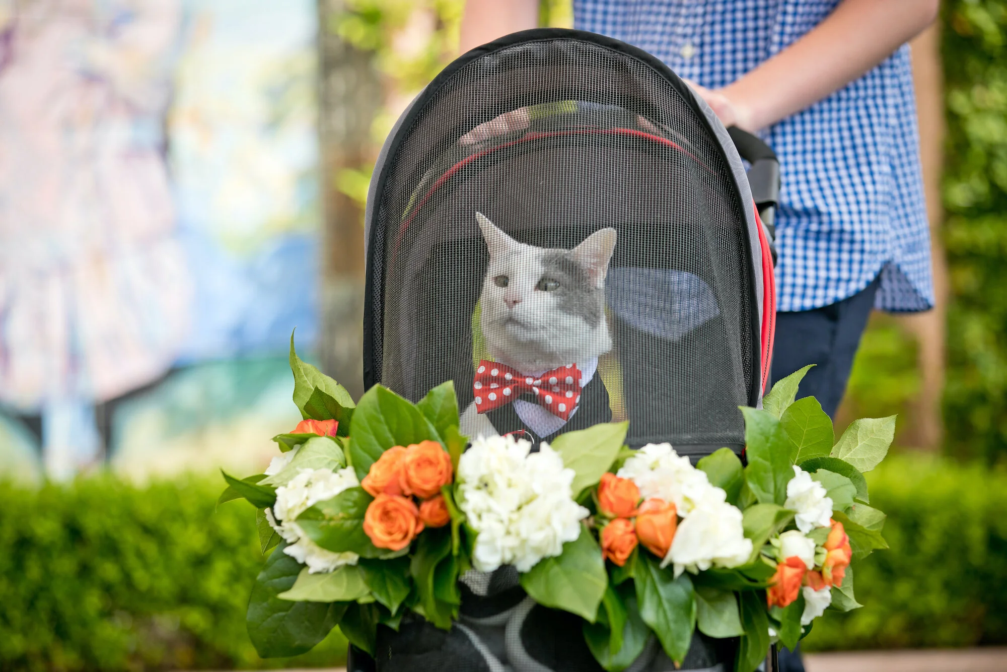 Destination Wedding- La Jolla, California- Two Grooms Who Love Cats