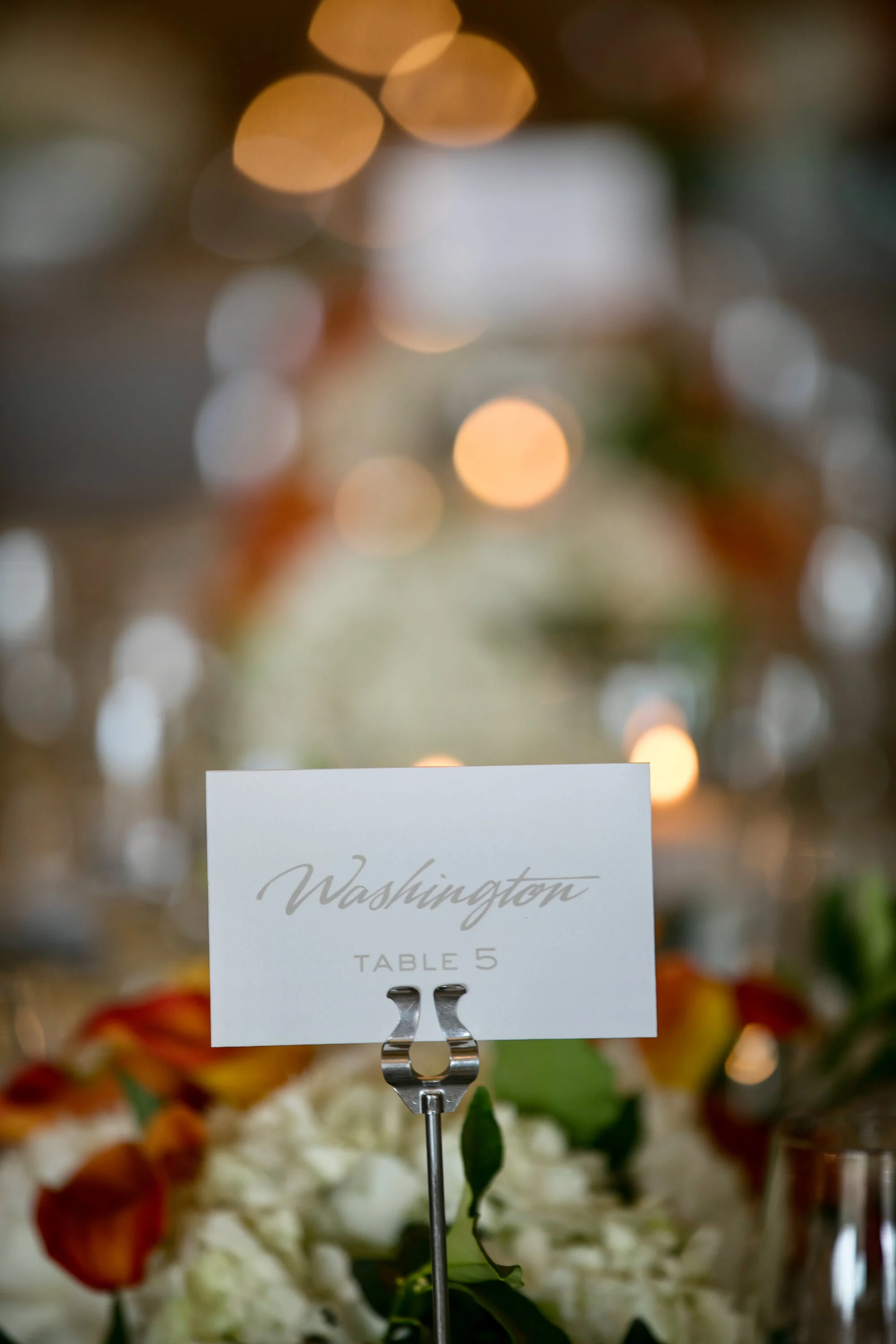 Destination Wedding- La Jolla, California- Two Grooms Who Love Cats