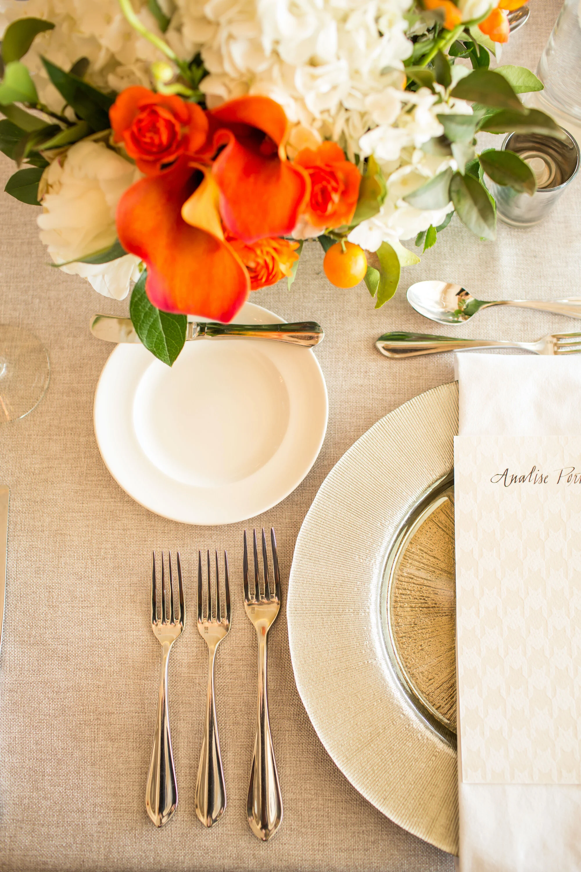 Destination Wedding- La Jolla, California- Two Grooms Who Love Cats