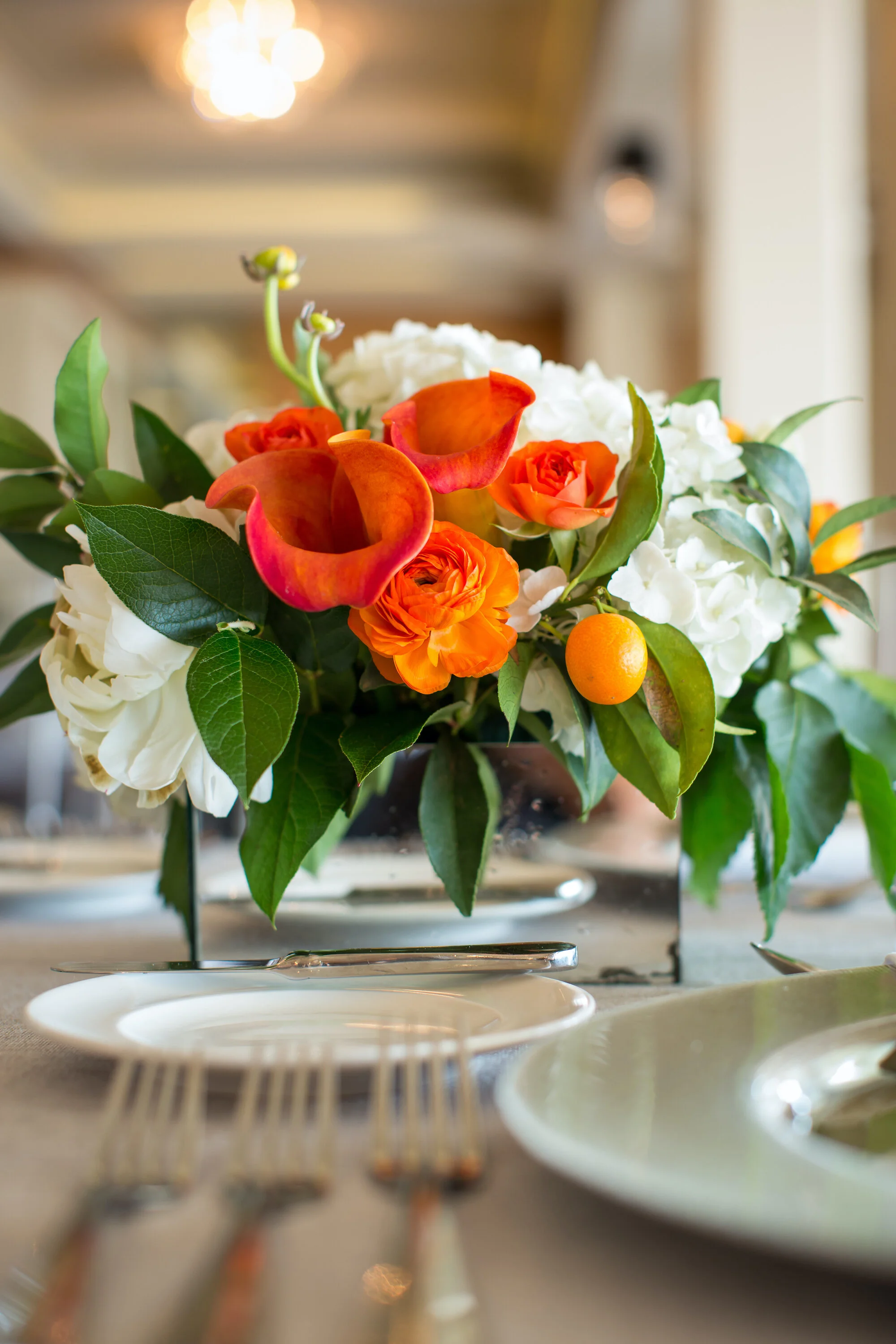 Destination Wedding- La Jolla, California- Two Grooms Who Love Cats