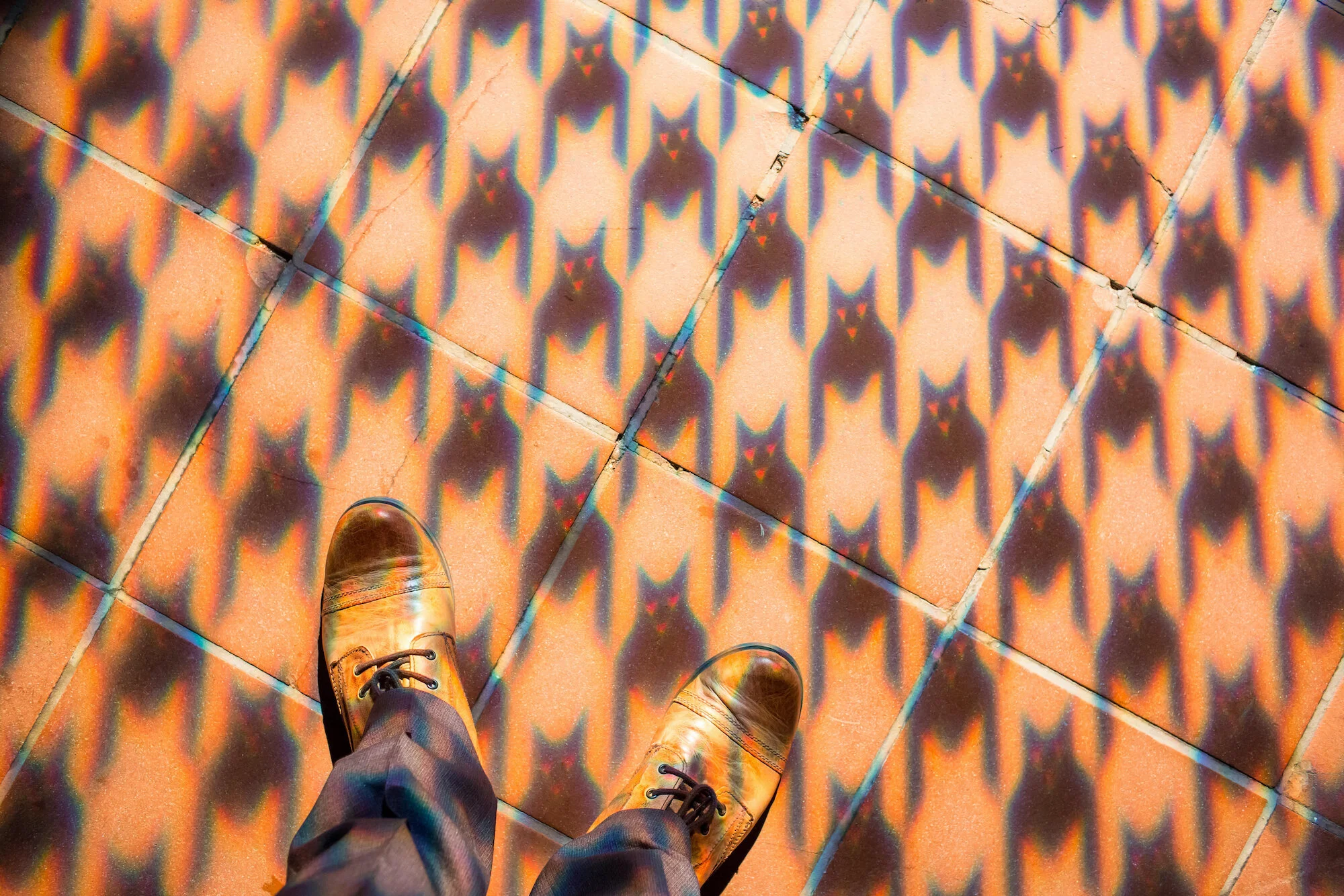 Destination Wedding- La Jolla, California- Two Grooms Who Love Cats