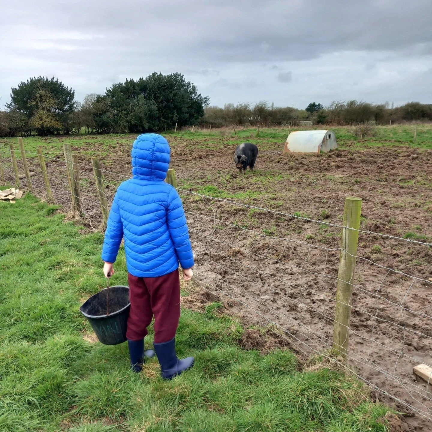 Feeding time for one of our longest serving residents, Kevin the pig. 

Helping out with the day to day work at our care farm helps our young people gain confidence around animals, and ultimately with themselves. 

#CareFarming #CareFarm #FarmingForW