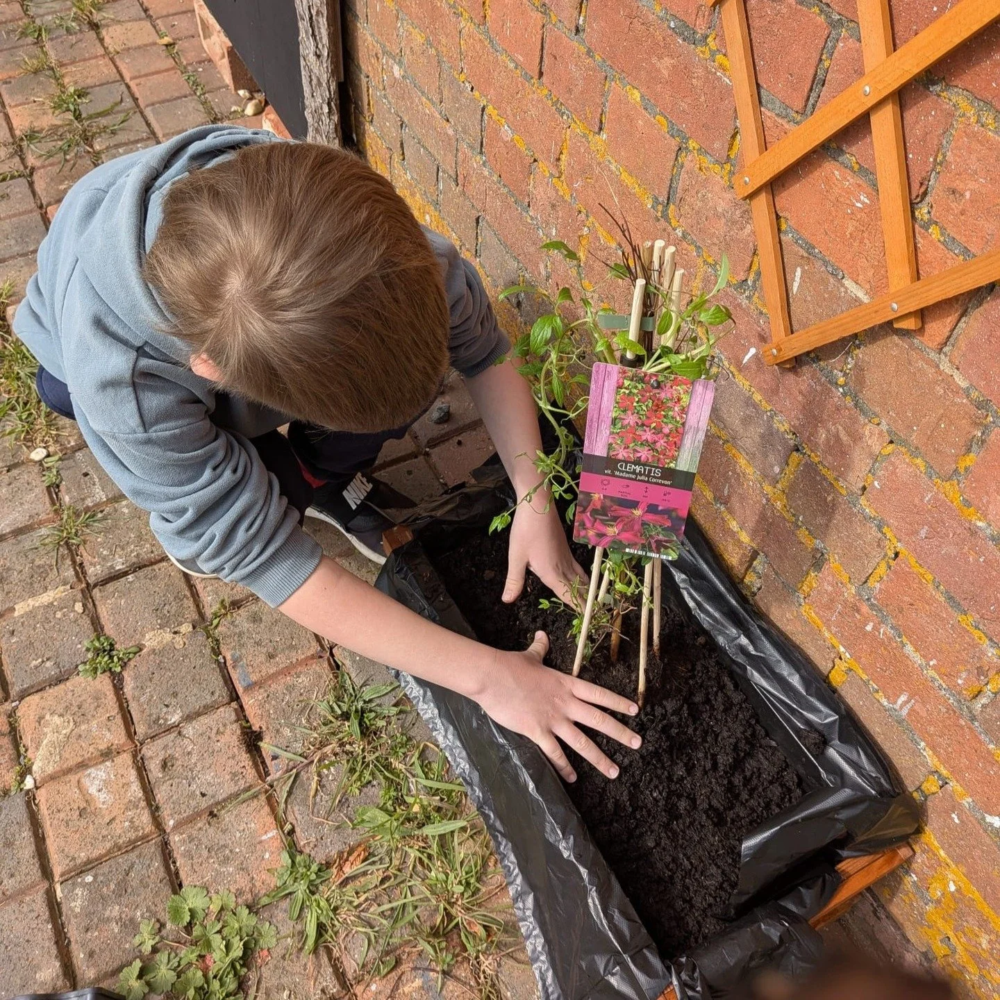 Spring activities and planting are now proliferating across our sites as the warmer weather returns. Younger green fingers are helping to fill these new planters, while elsewhere the allotments and micro farms are starting to take shape.