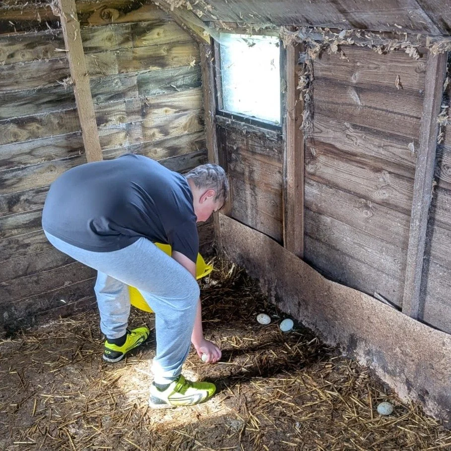 One of the most satisfying jobs on our care farm - collecting the duck and chicken eggs, which with any luck will go straight to the kitchen... 

#carefarm #collectingeggs #farmschool #NatureBasedLearning