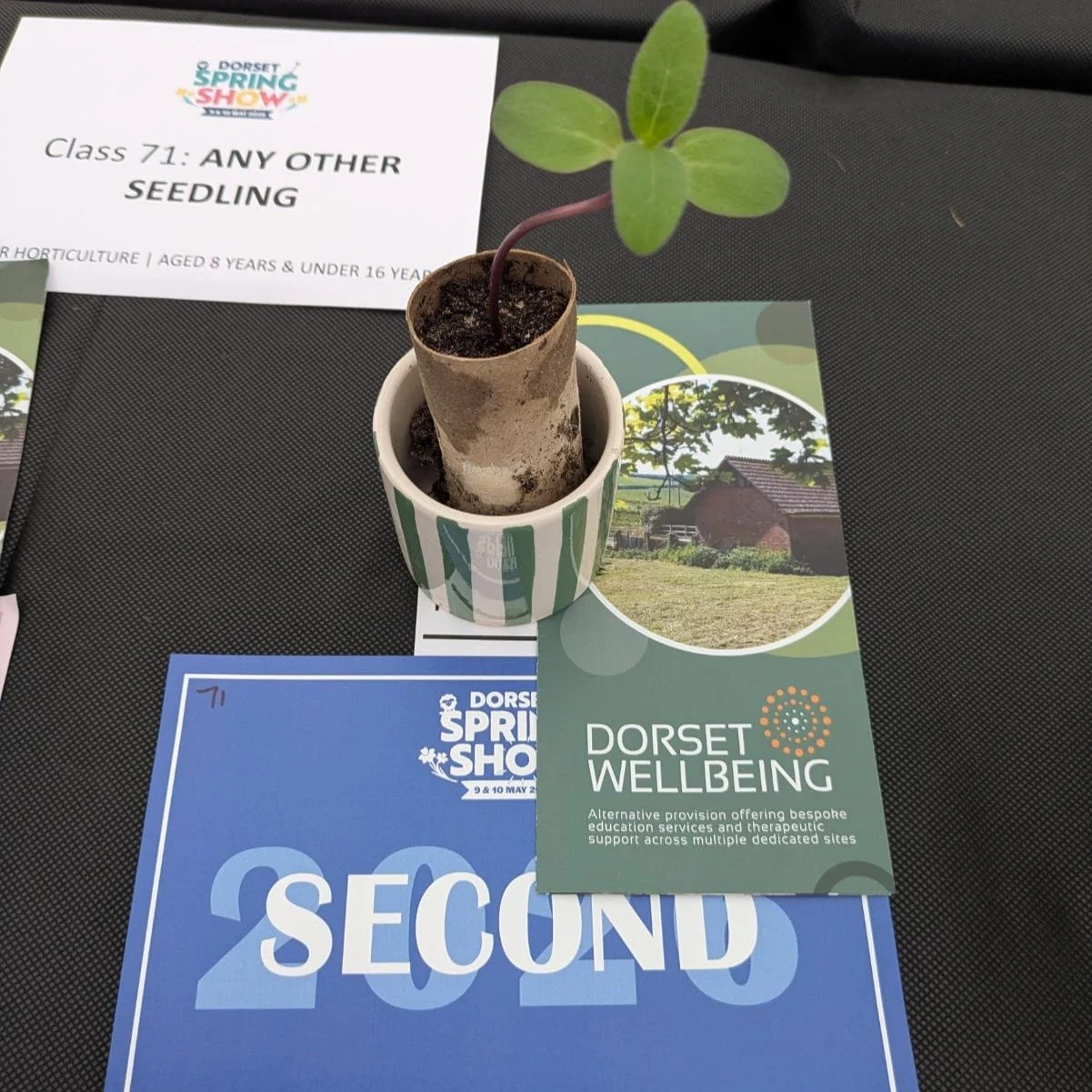 It was great to attend the @dorsetspringshow and bring some of our produce along too. Thank you to everyone involved!

#dorsetspringshow