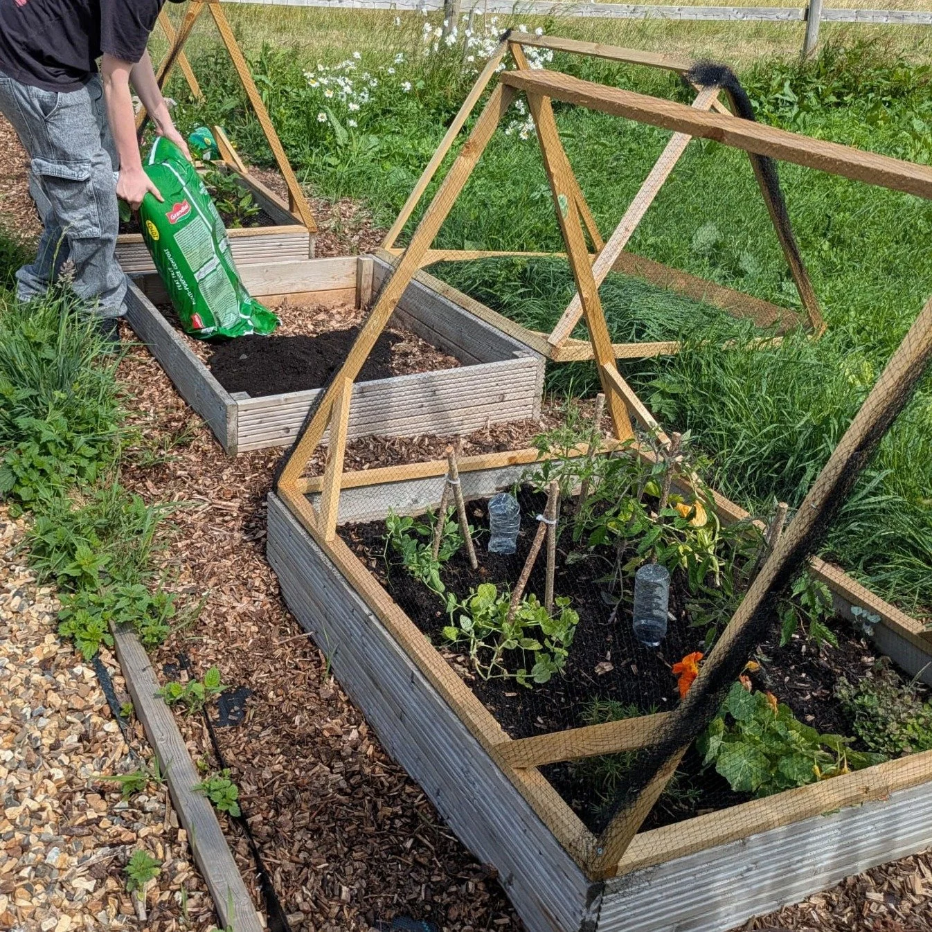 Gatehouse Farm has a new kitchen garden, and some willing hands to keep it productive for all the budding chefs inside 🌱🌿

#CareFarming #SocialFarming #GardenTherapy #HorticulturalTherapy #GreenCare #NatureTherapy