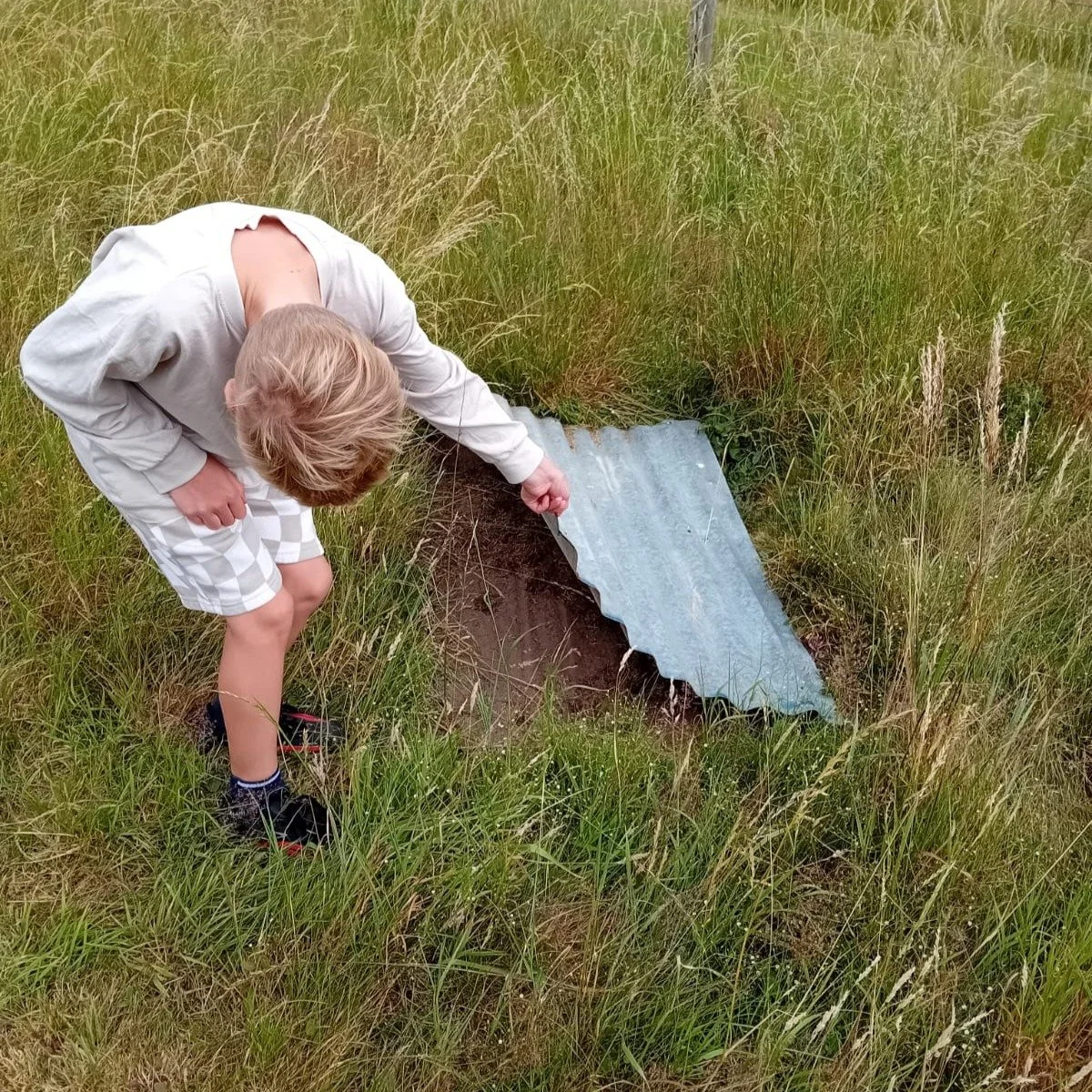 More discoveries to be made on the nature trail at Gatehouse Farm, where our young people are encouraged to be curious about the world around them 🦆

#carefarm #CareFarming #FarmingTherapy #GreenCare #TherapeuticHorticulture