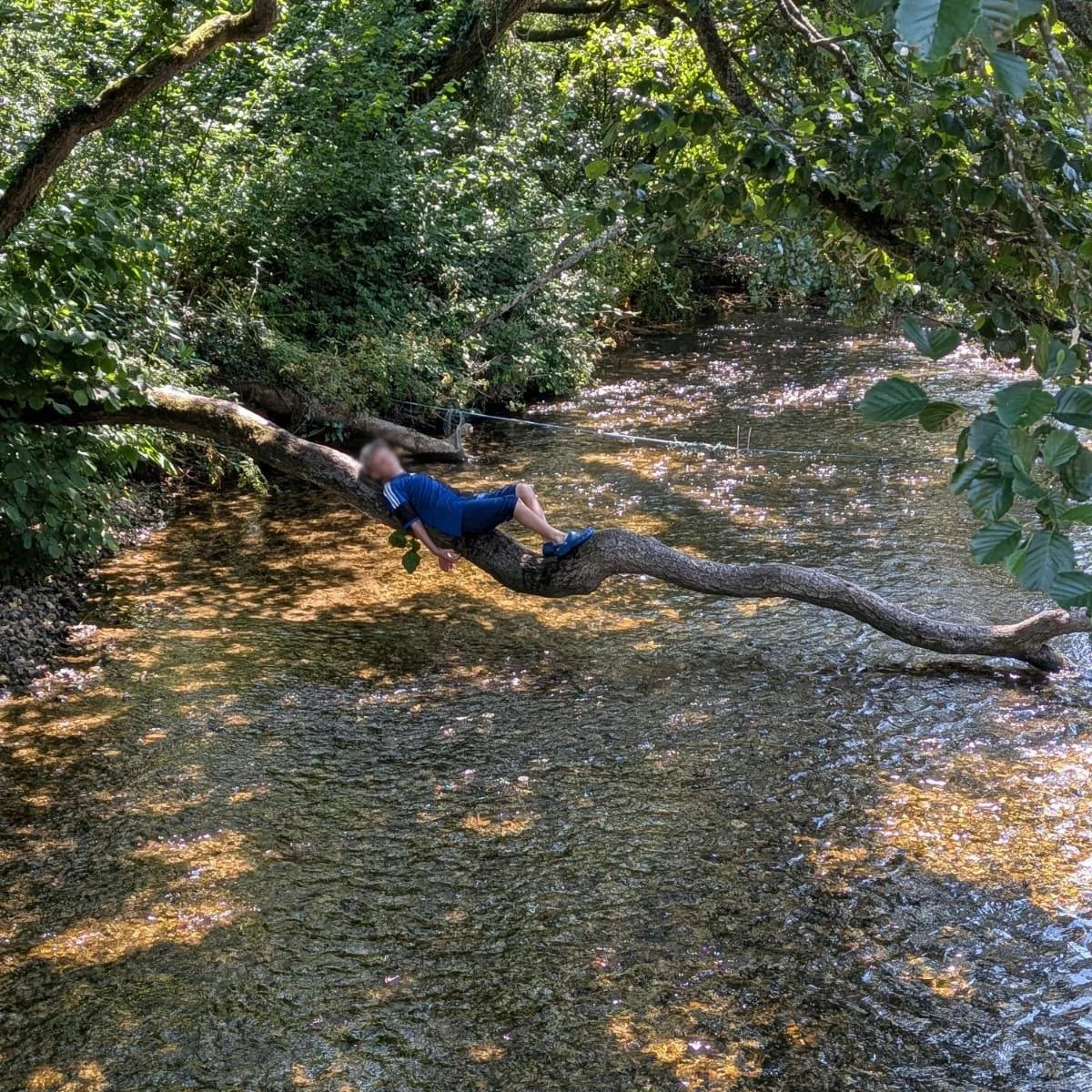 101 ways to cool down at Dorset Wellbeing.... 

From magnet fishing to line fishing, every site has found a way to escape the heat and enjoy all that the surrounding countryside has to offer ☀️

#heatwave #ukheatwave #alternativeprovision #outdooredu