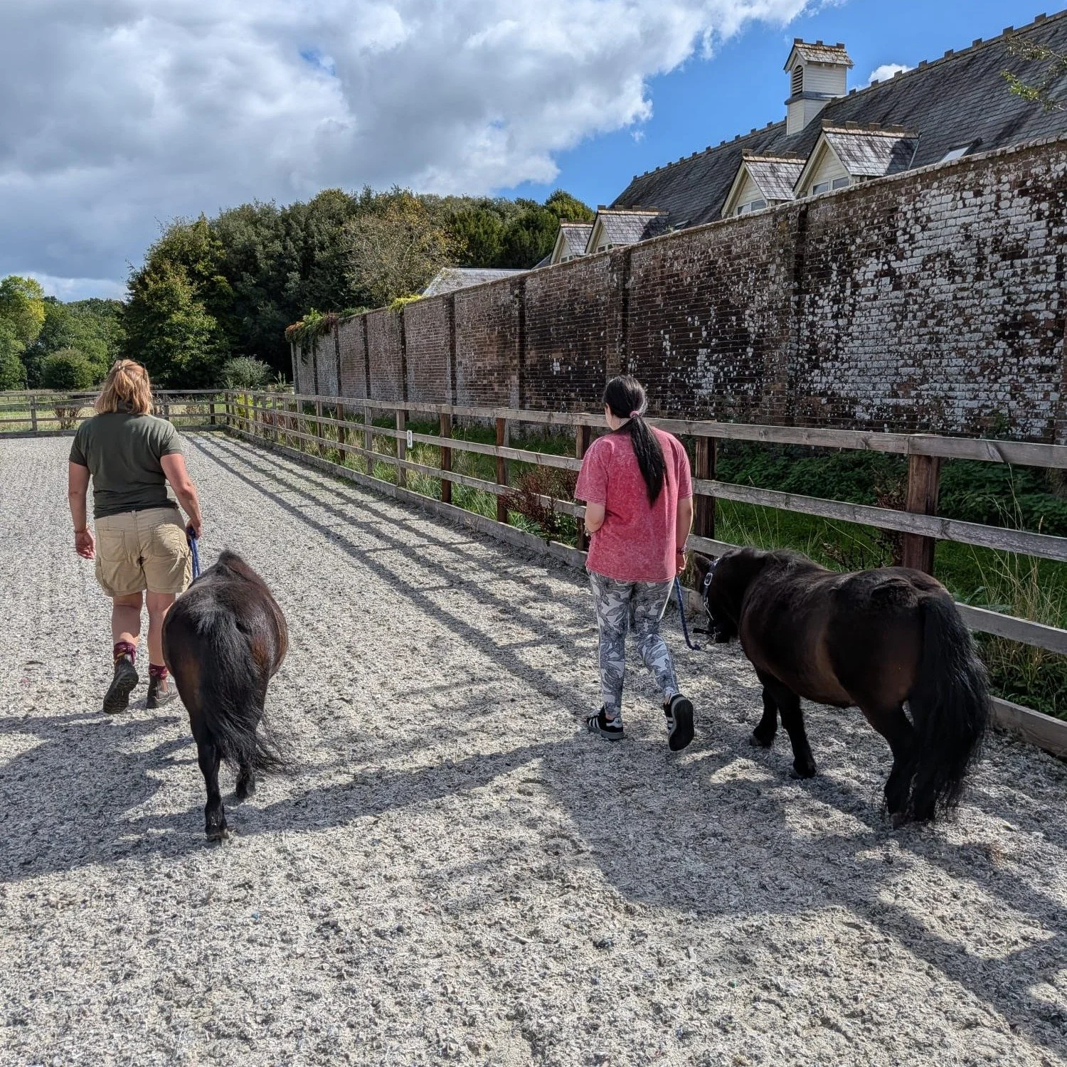 We've been lucky enough to visit Heather at Riverside Therapy Ponies with some of our young people - a wonderful environment to spend some quiet time with these gentle animals. 

#TherapyPonies #AnimalAssistedTherapy #EquineAssistedLearning #Alternat