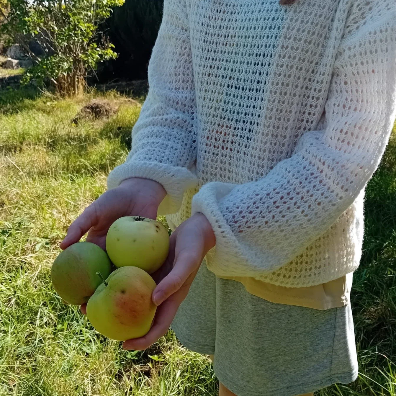 Apple cake made from apples grown in our own orchard and other culinary delights to come out of Normandy Farmhouse 🍏

#alternativeprovision #kitchenclassroom #edibleeducation #cookingaslearning