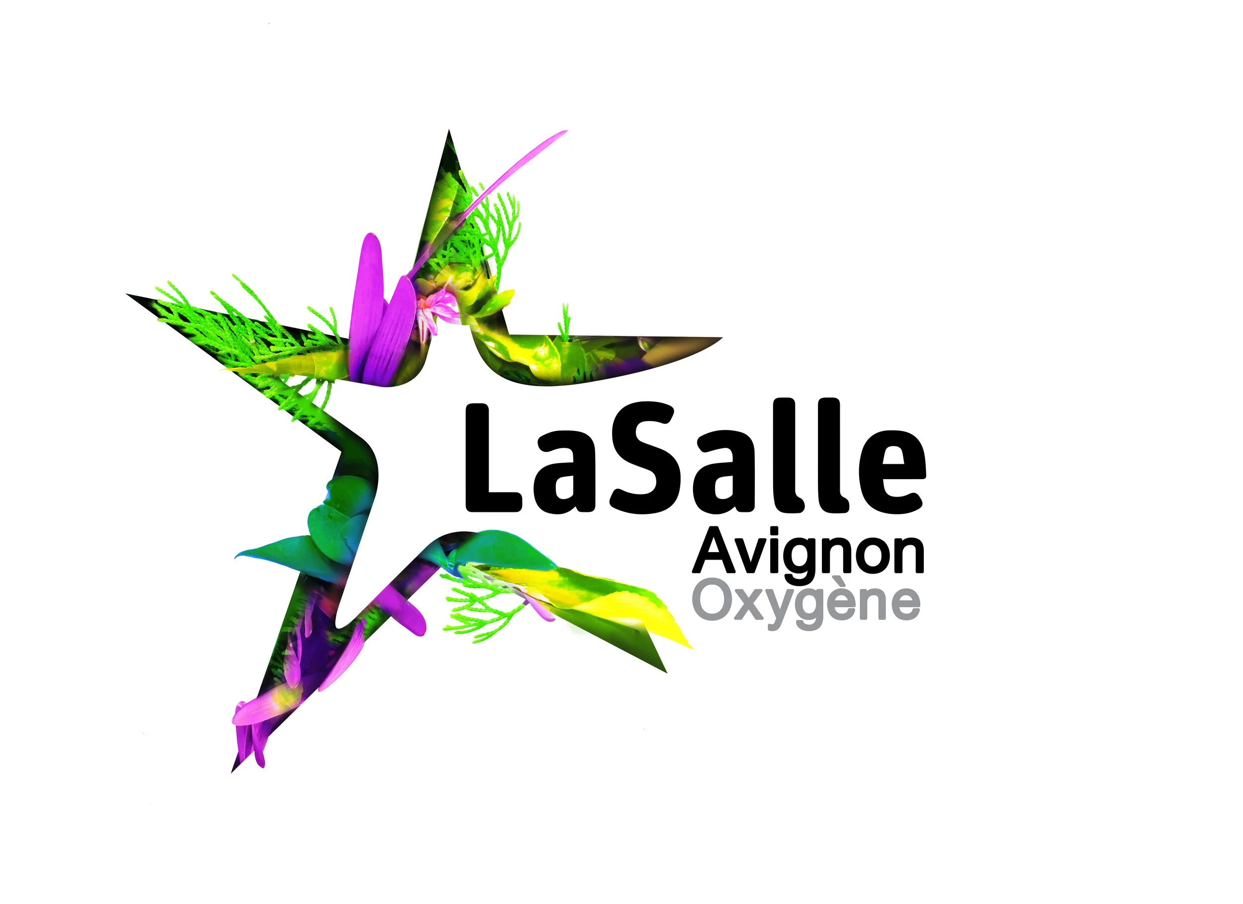 LASALLE LOGO 02 .jpg
