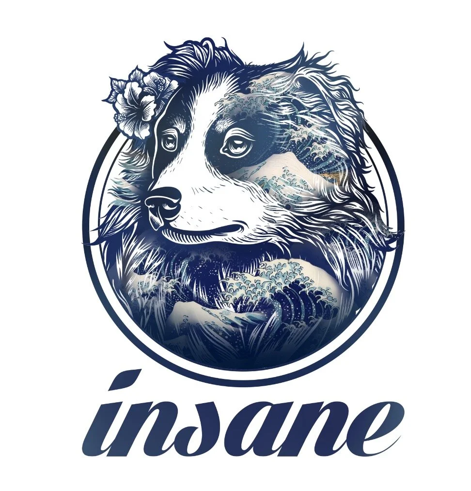 SCENE TRANCE simplifié .jpg