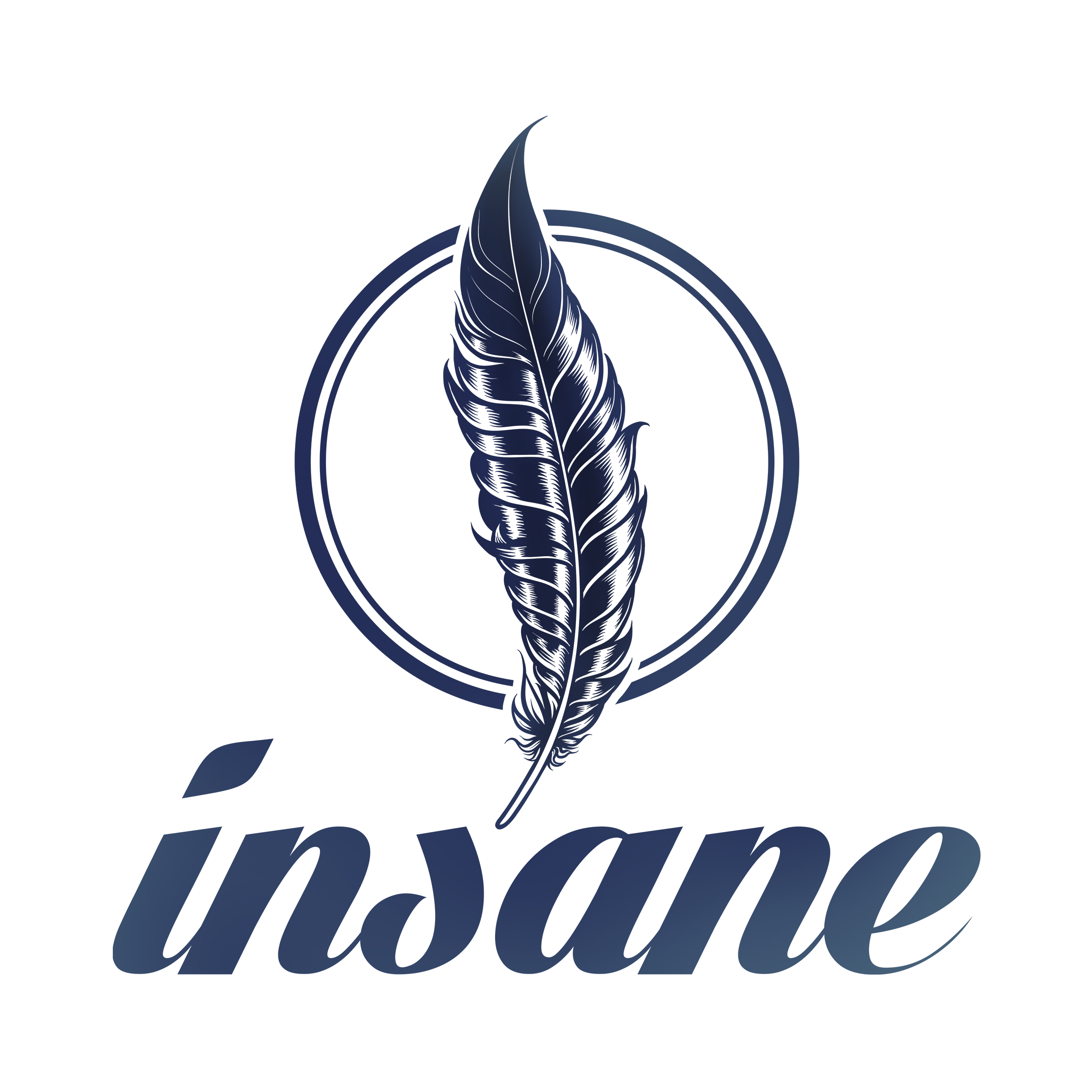 LOGO INSANE 2019 couleur .png