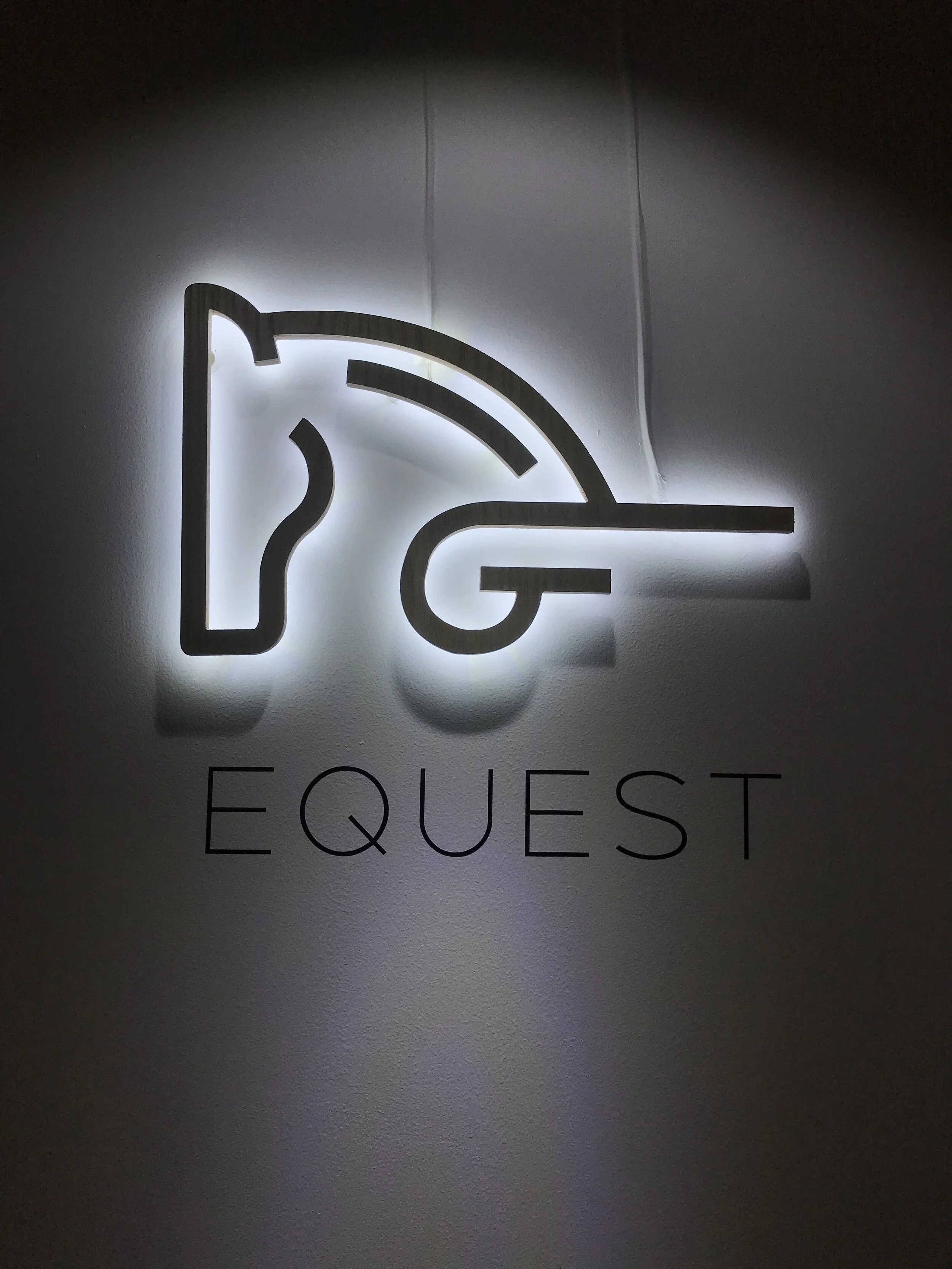 LED Logo.jpg