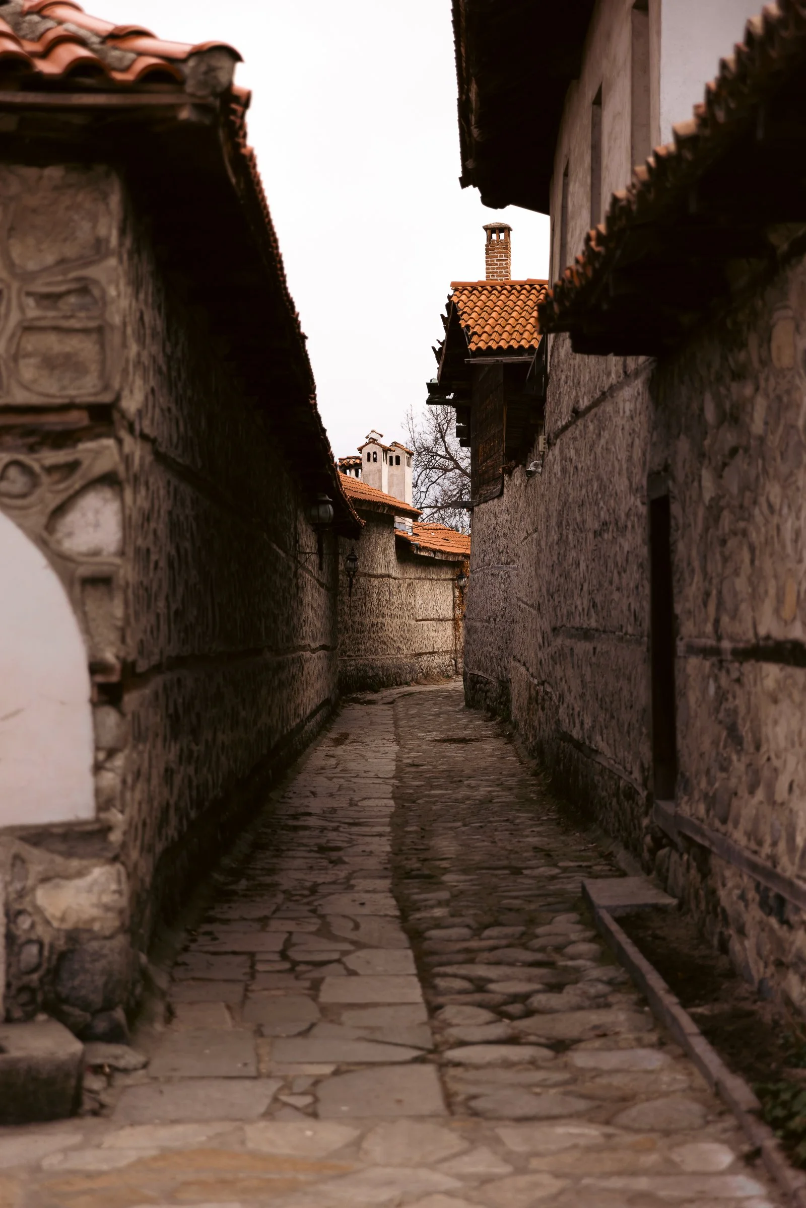 9F8A4976.jpg