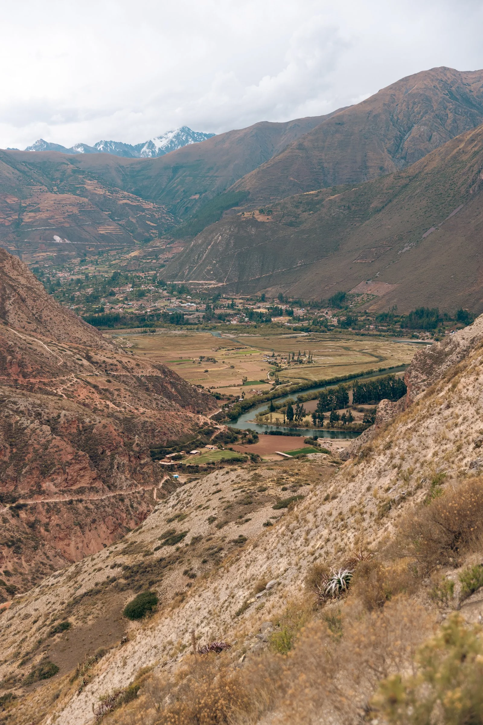 9F8A4600.jpg