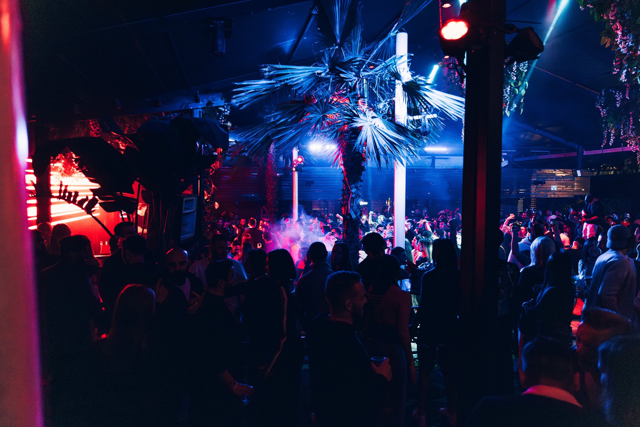 Crowd of people at a nightclub or concert with blue and red lighting, palm trees, and party decorations.