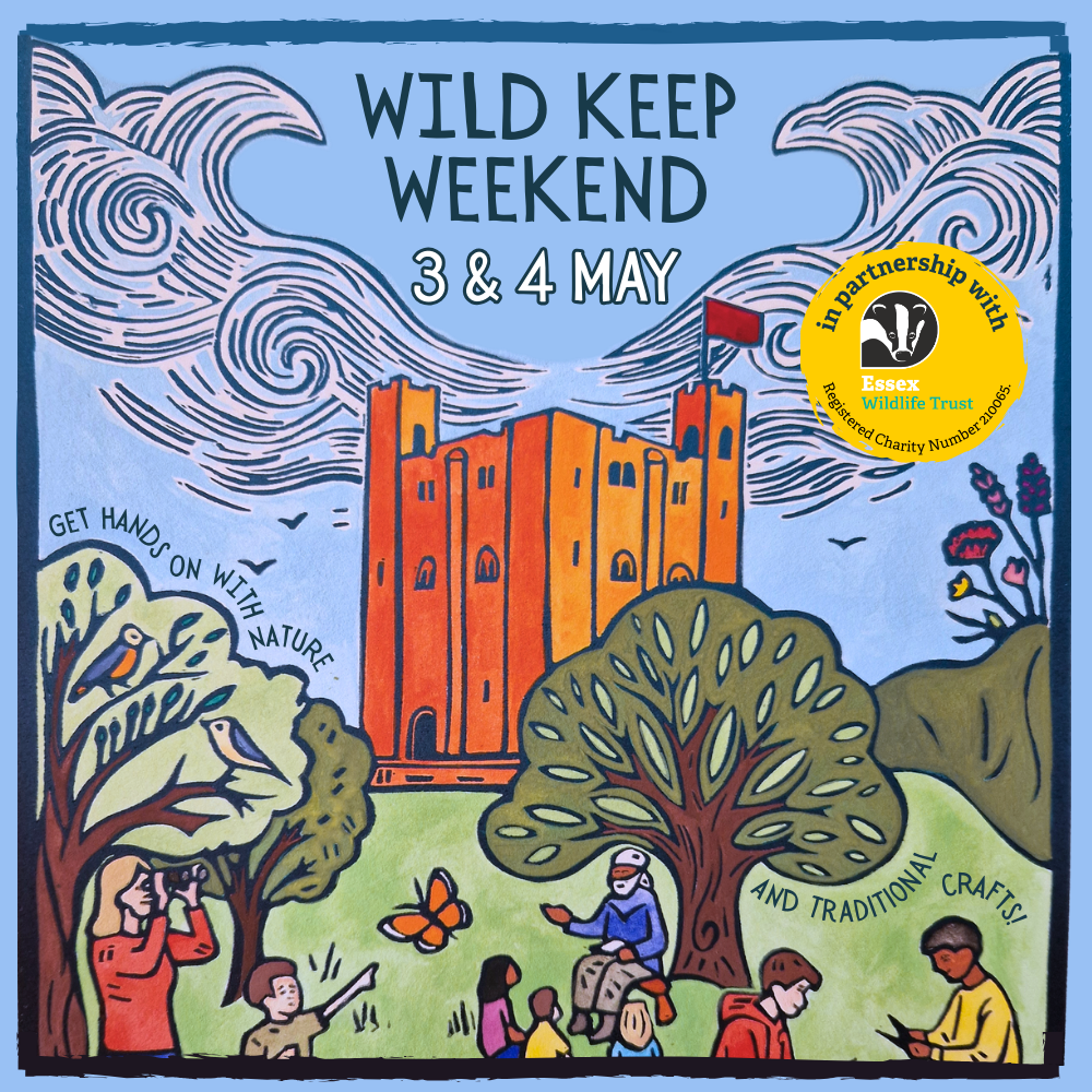 The Ultimate May Bank Holiday Family Event in Essex