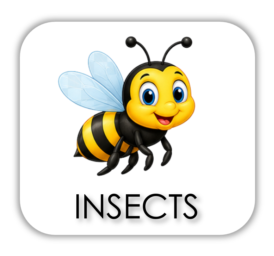 basics - INSECTS.png