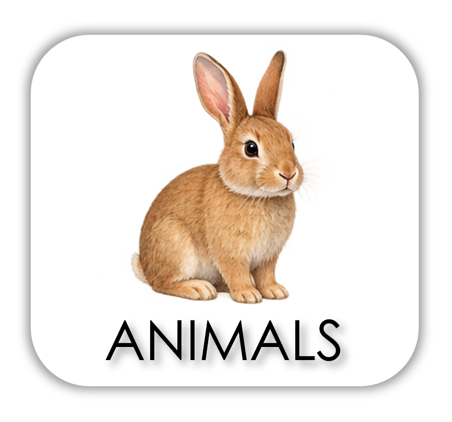 basics - ANIMALS.png