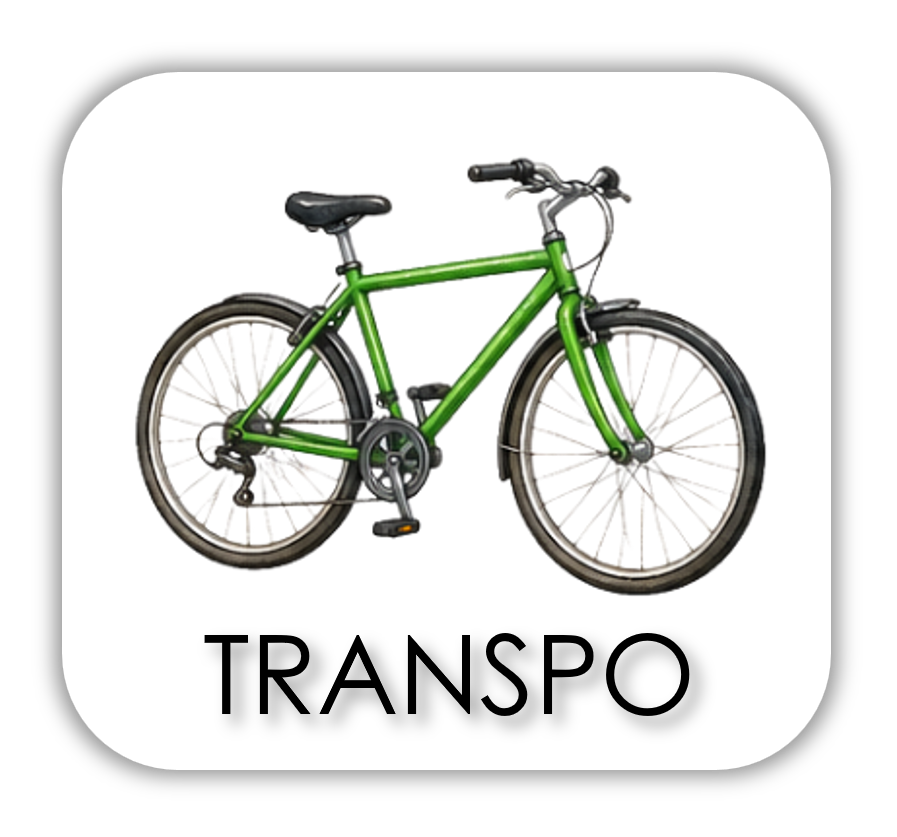 basics - TRANSPO.png