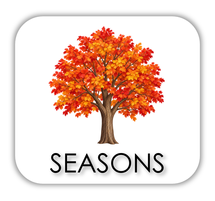 basics - SEASONS.png