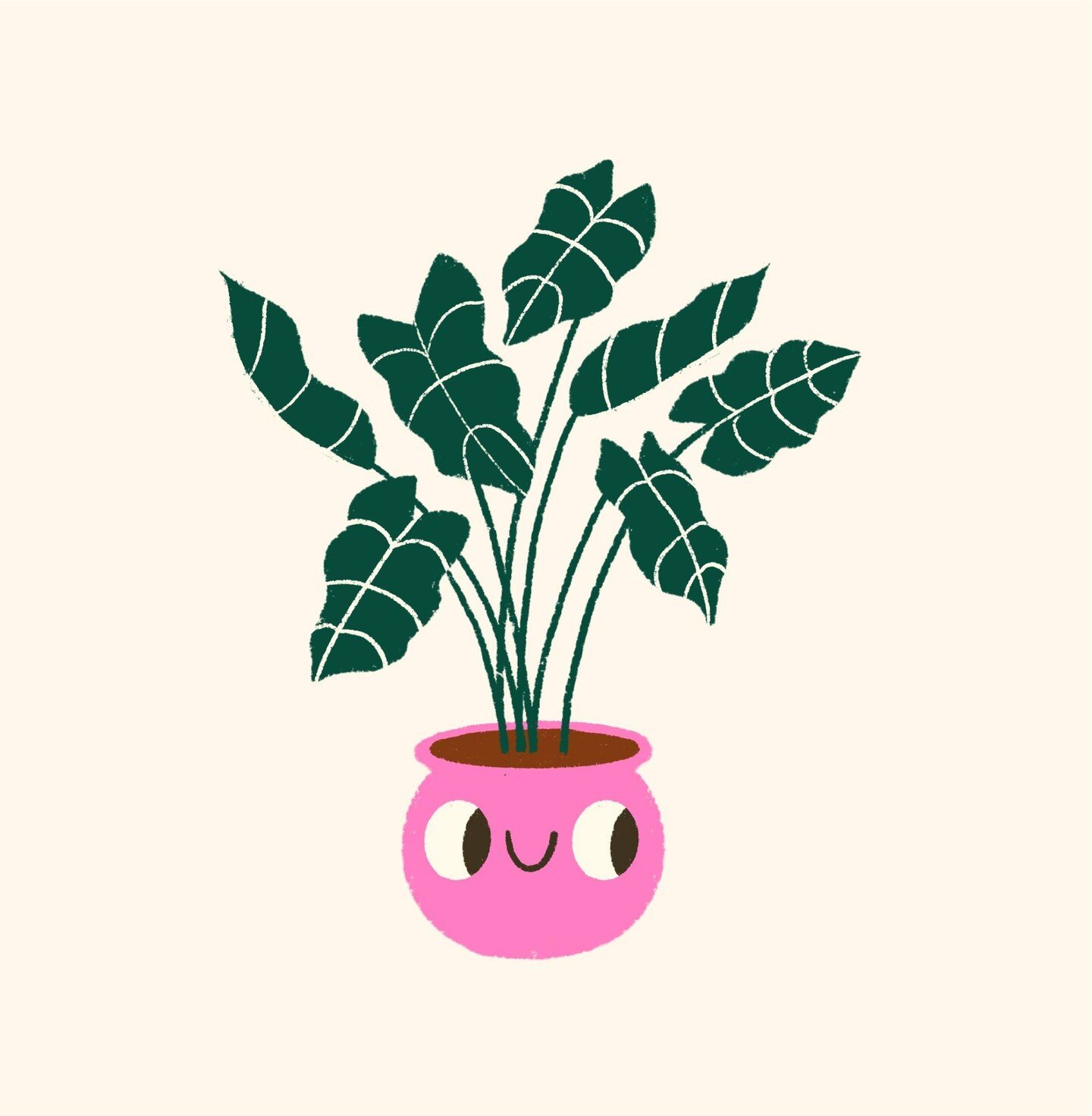 I made something for you, it's the Happy Houseplant To-do List! This short, approachable to-do list is intentionally brief because I don't want to overwhelm you! This is just enough information to help you get your feet (plants?) wet and start to est