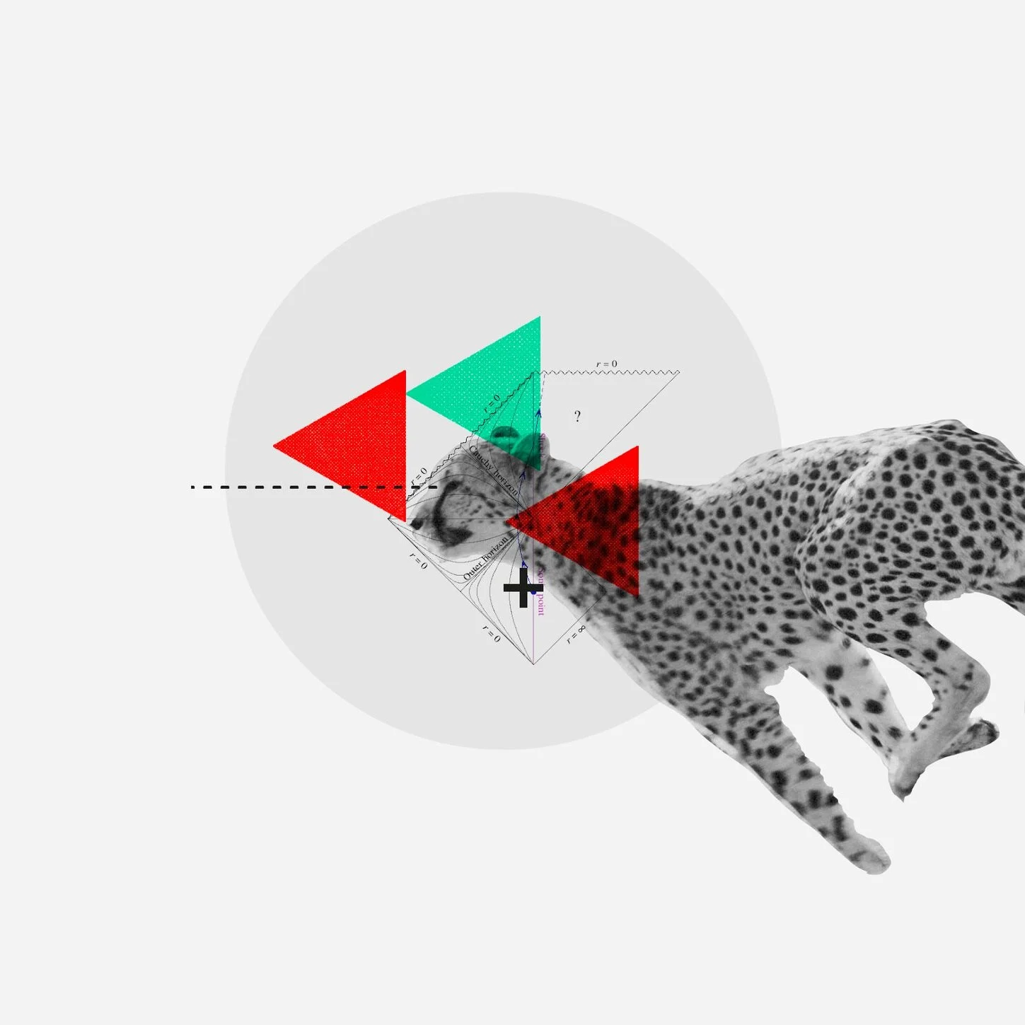 Guide to Growth Ep 5. Enable Flexibility