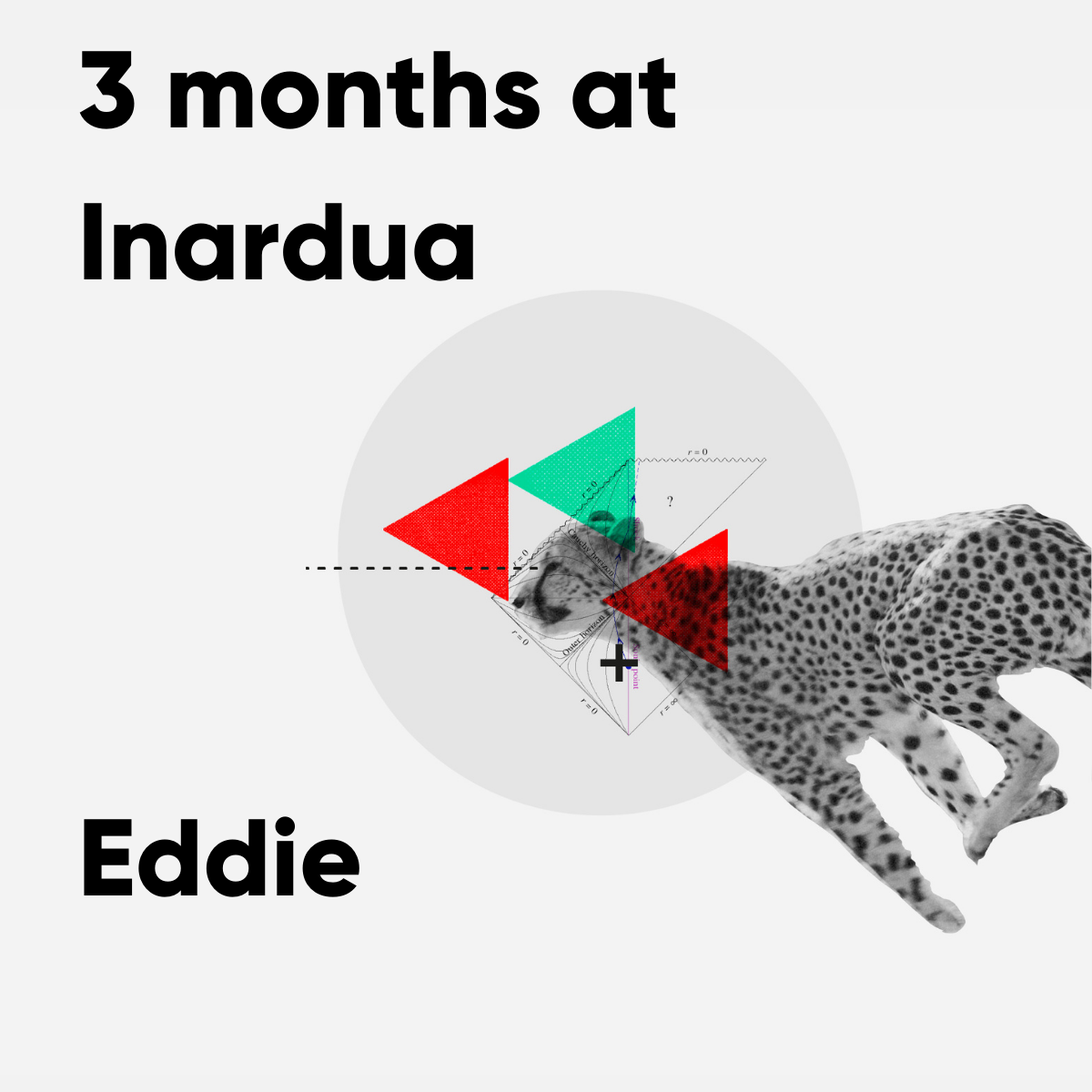 Eddie: 3 months in!