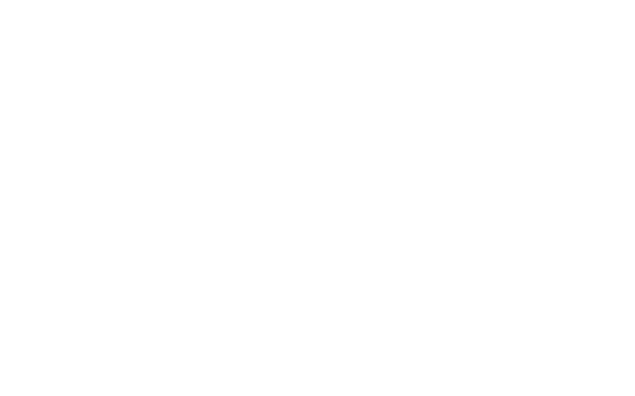 Lake Life Chiropractic - Dr. Pete Brettingen