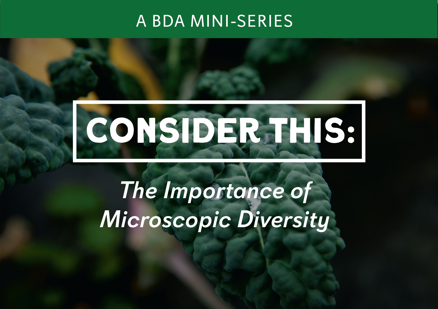 CONSIDER THIS: The Importance of Microscopic Biodiversity - Mini-series #2