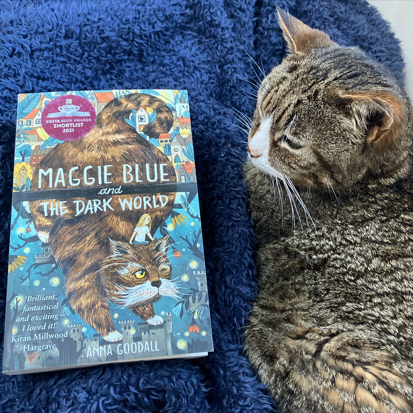 We are loving Maggie Blue and the Dark World by Anna Goodall. Atmospheric and eerie, and anything with a talking tabby is going to be a hit in this house.

#maggieblueandthedarkworld #annagoodall