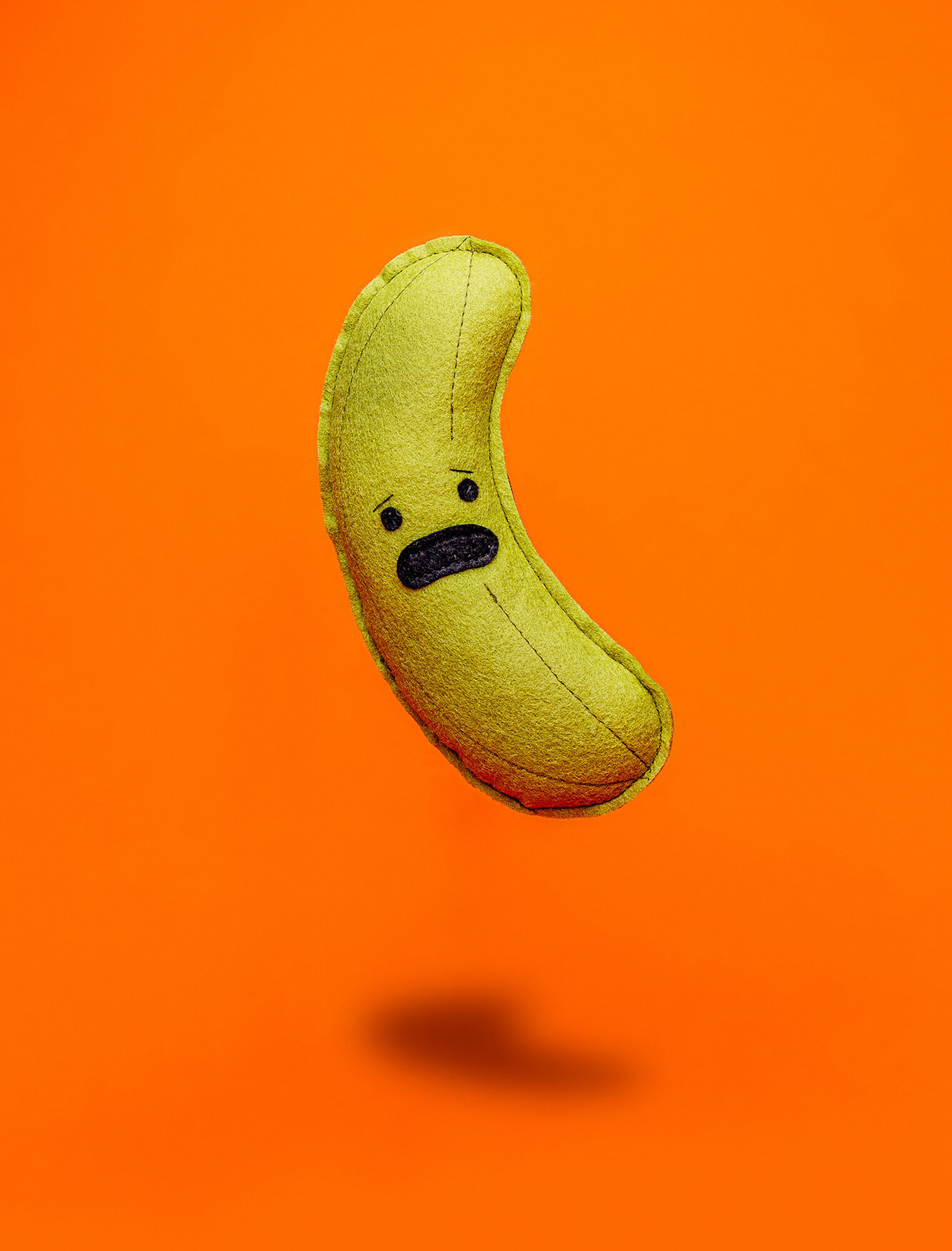 pickle_lr.jpg