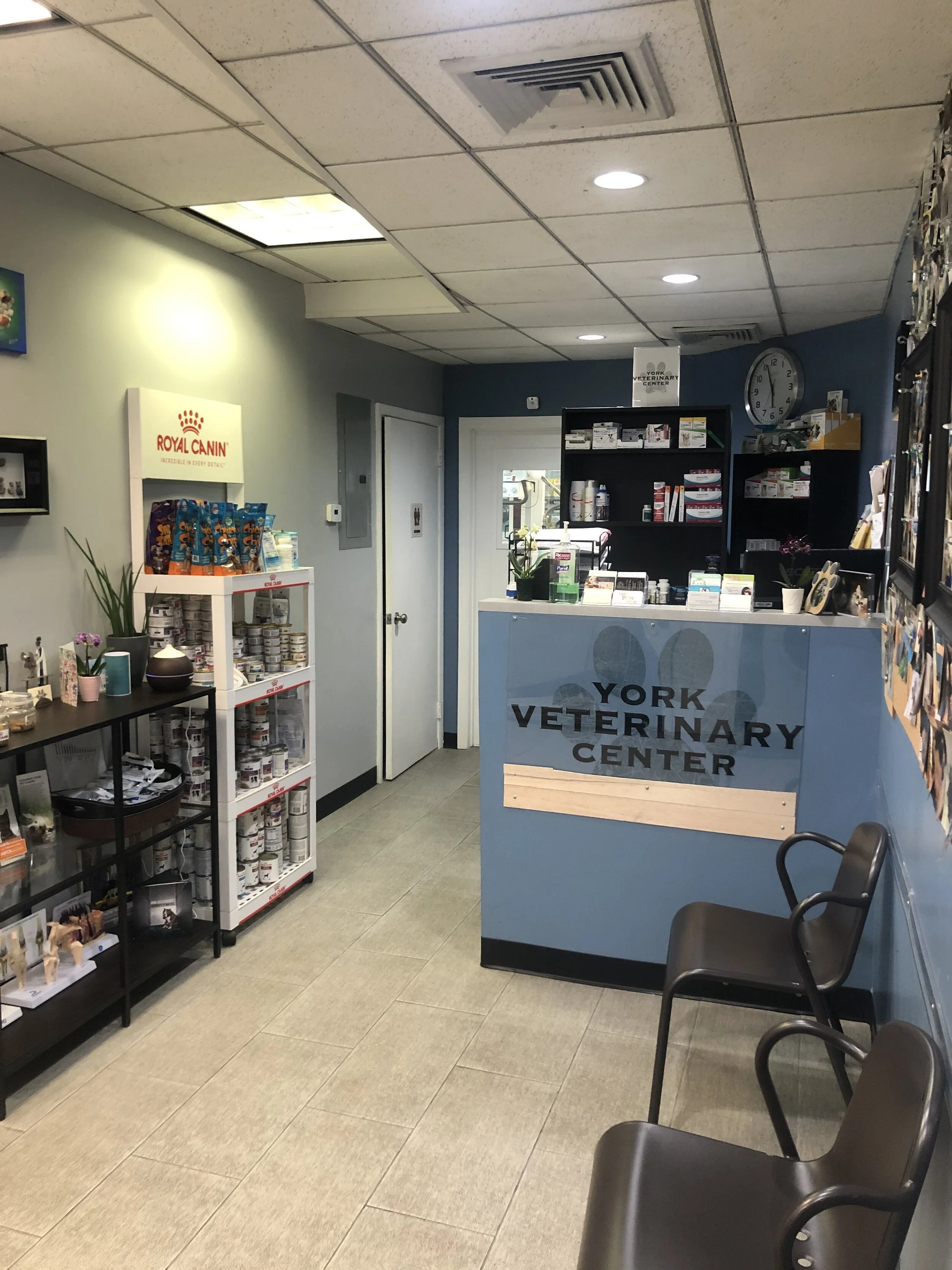 Hospital Tour — York Veterinary Center