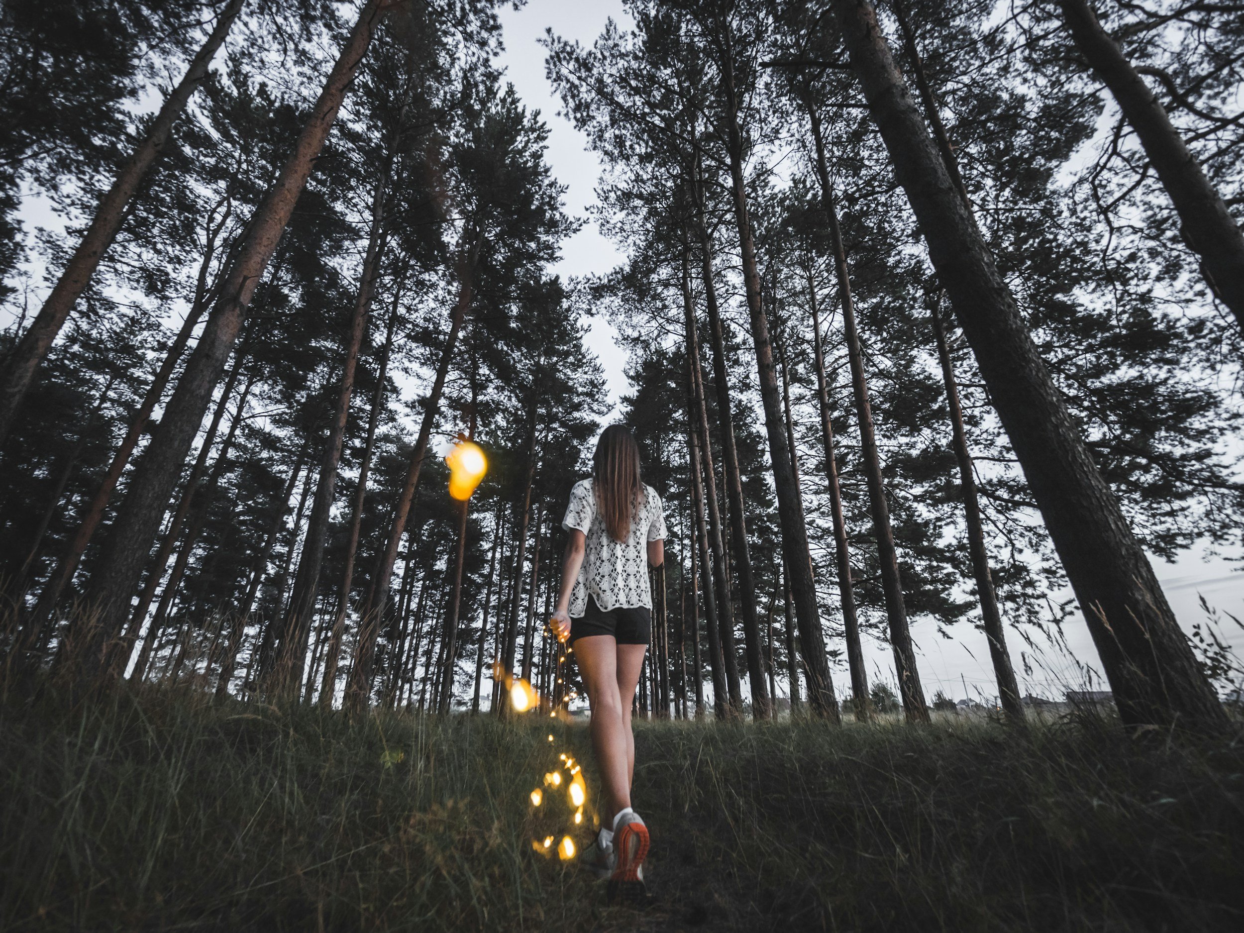 unsplash-image-2770EJdW4CA.jpg