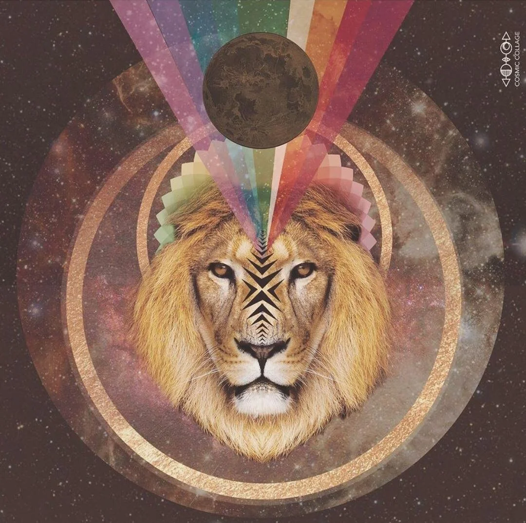 Lion Vibe 🦁 Nouvelle Lune