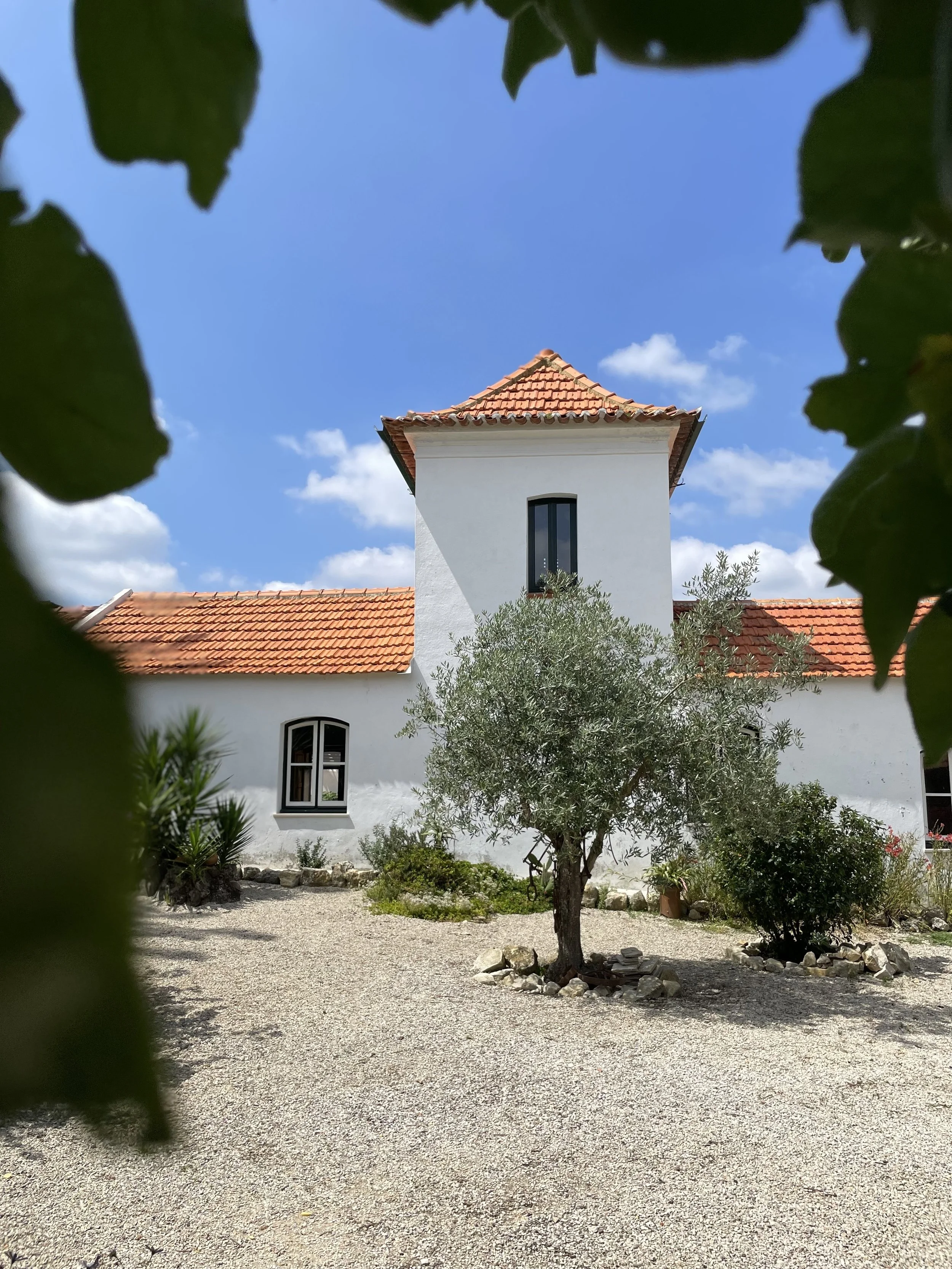 IMG_4632.jpeg