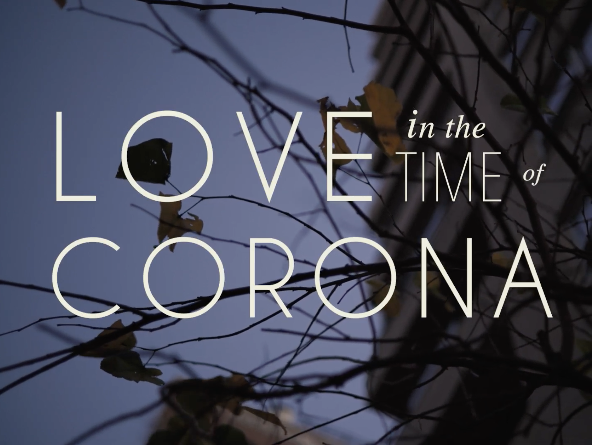 Love in the Time of Corona.png