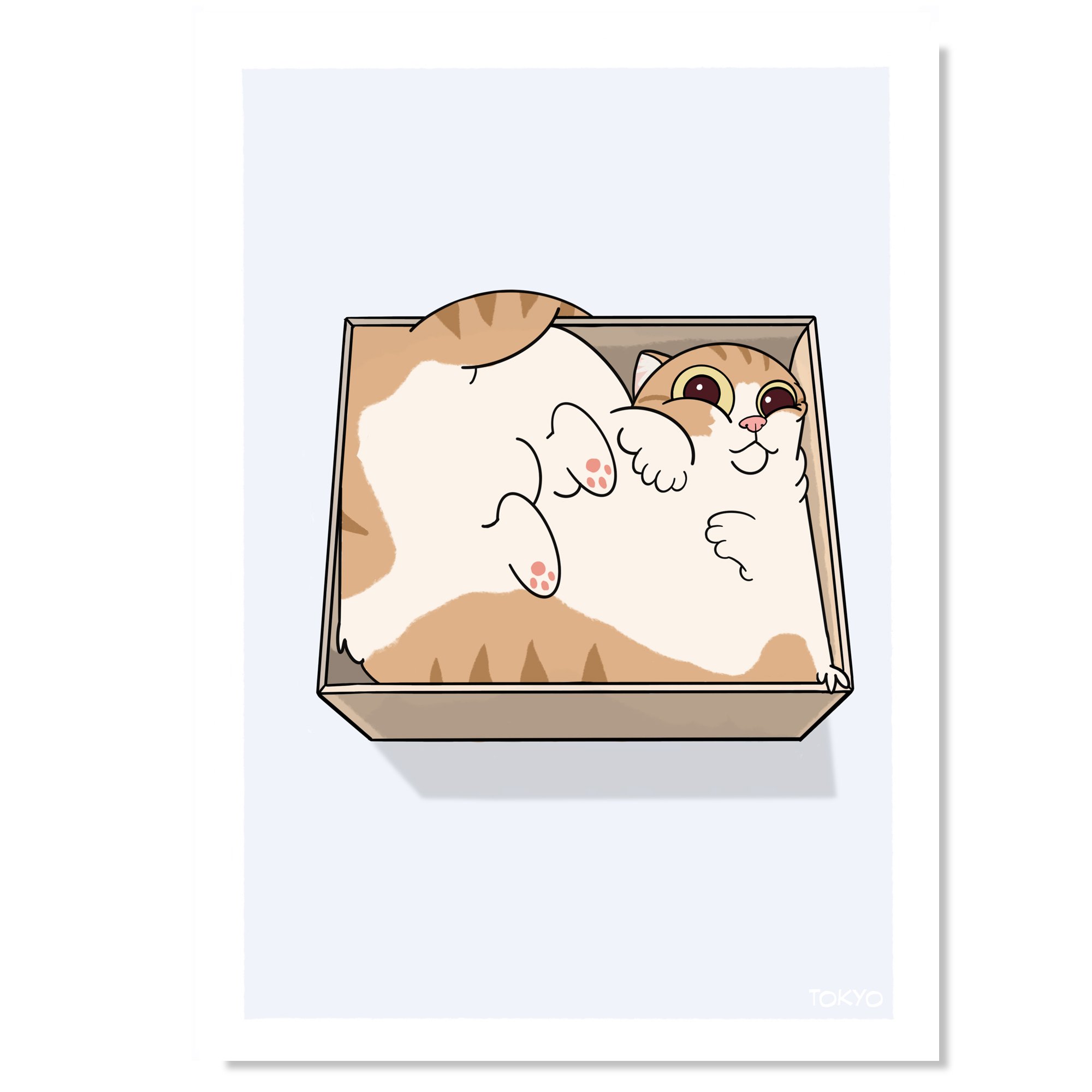cat box.jpg
