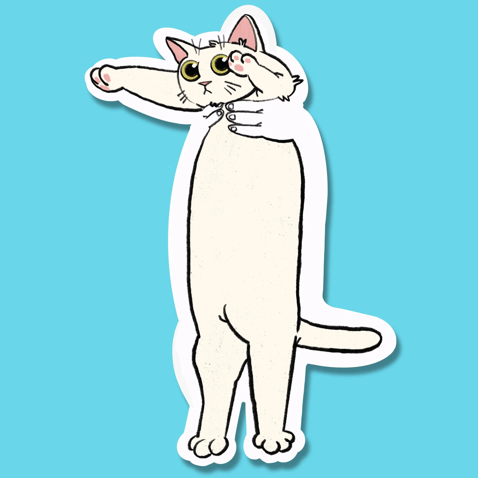 long cat mag.jpg