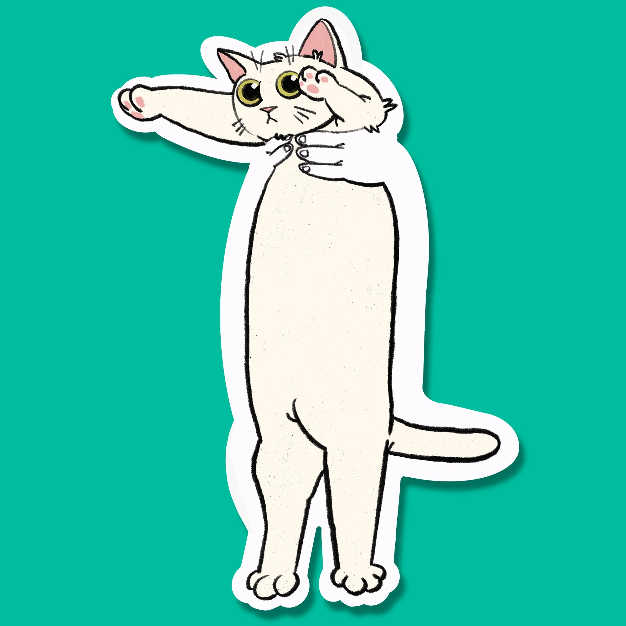 Long cat sticker.jpg