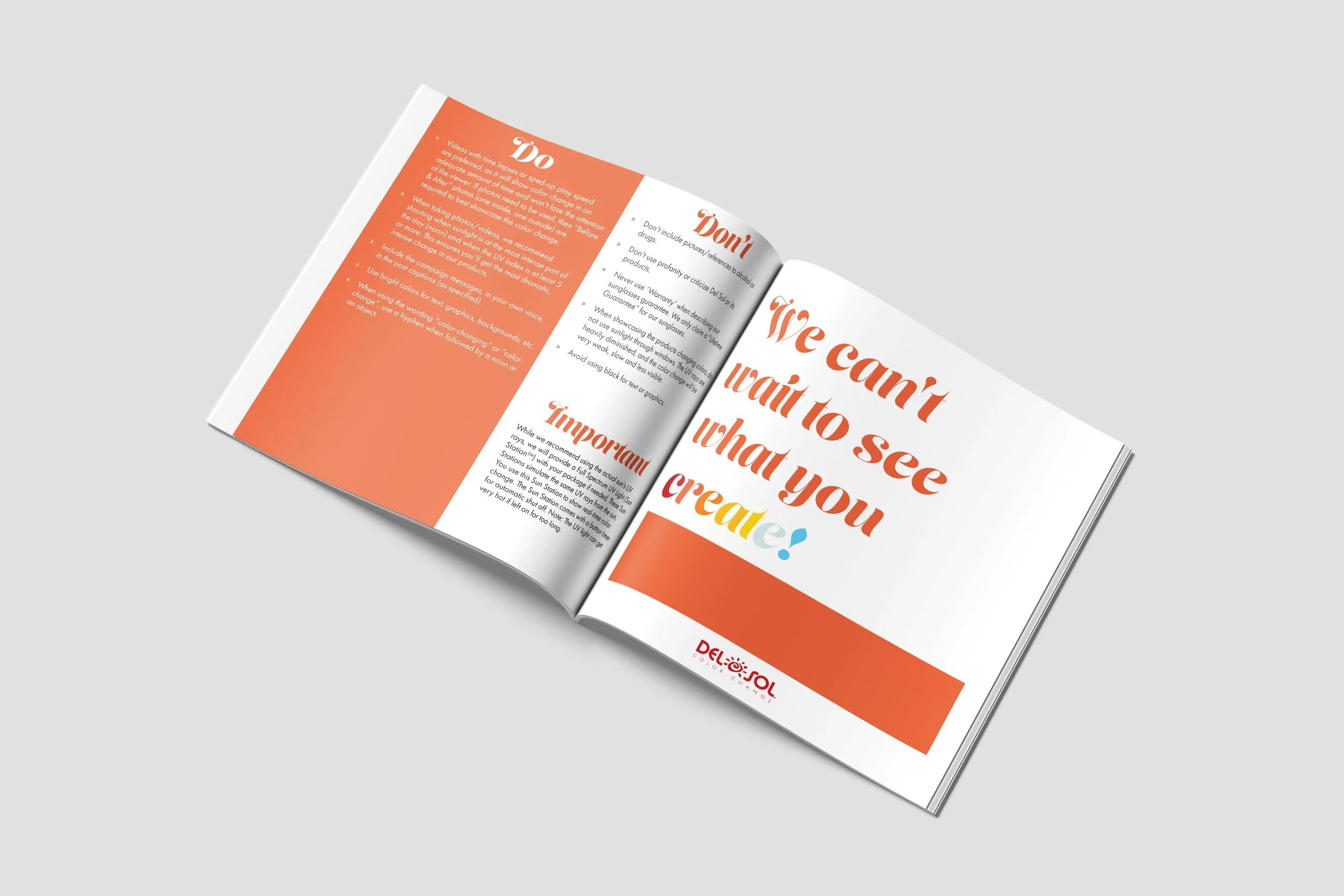 DS_Brand Guide_3.jpg