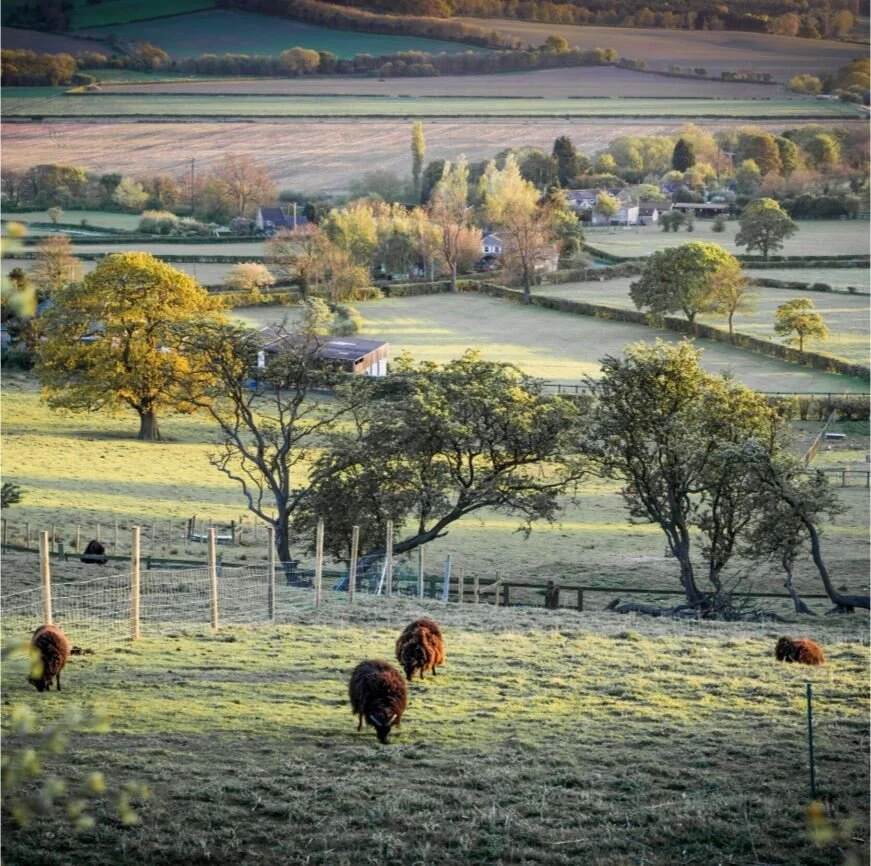 PPS 21: Sustainable Development in the Countryside  