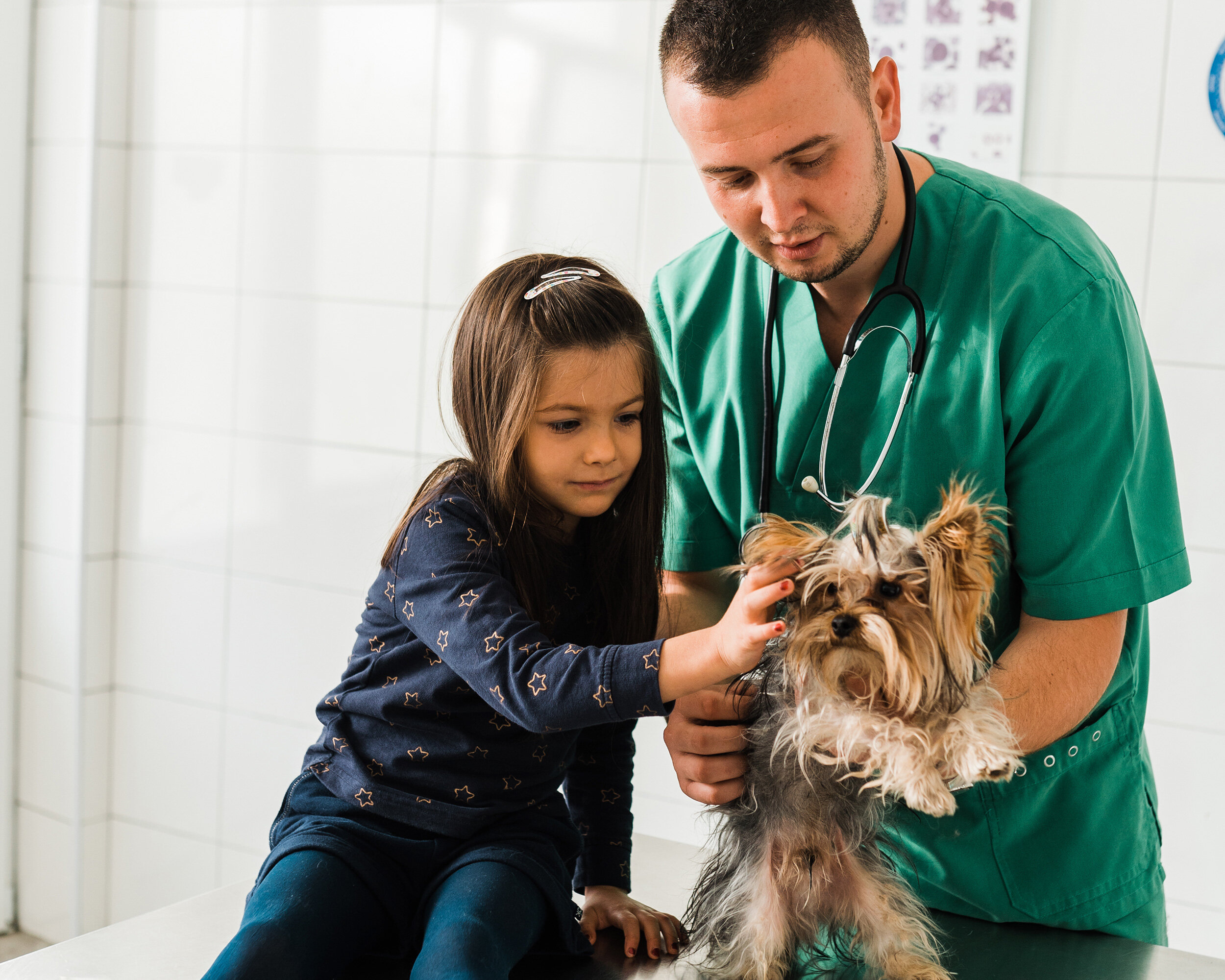 deck hook for bird feeder