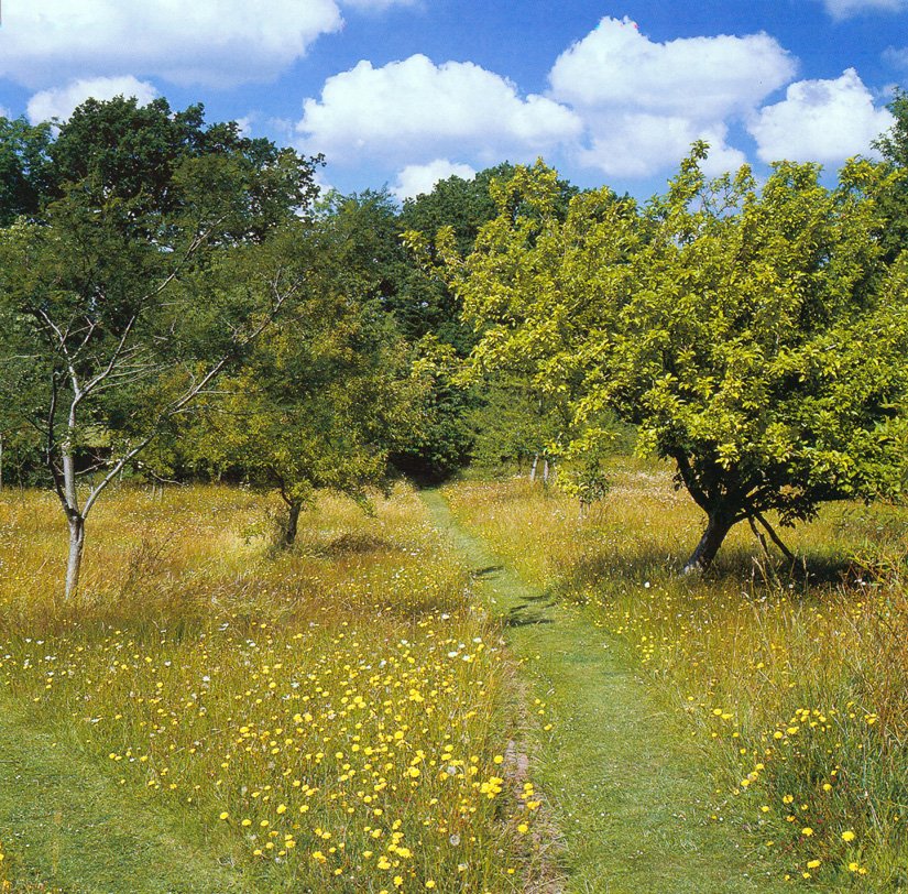 pathmeadow_crop.jpg