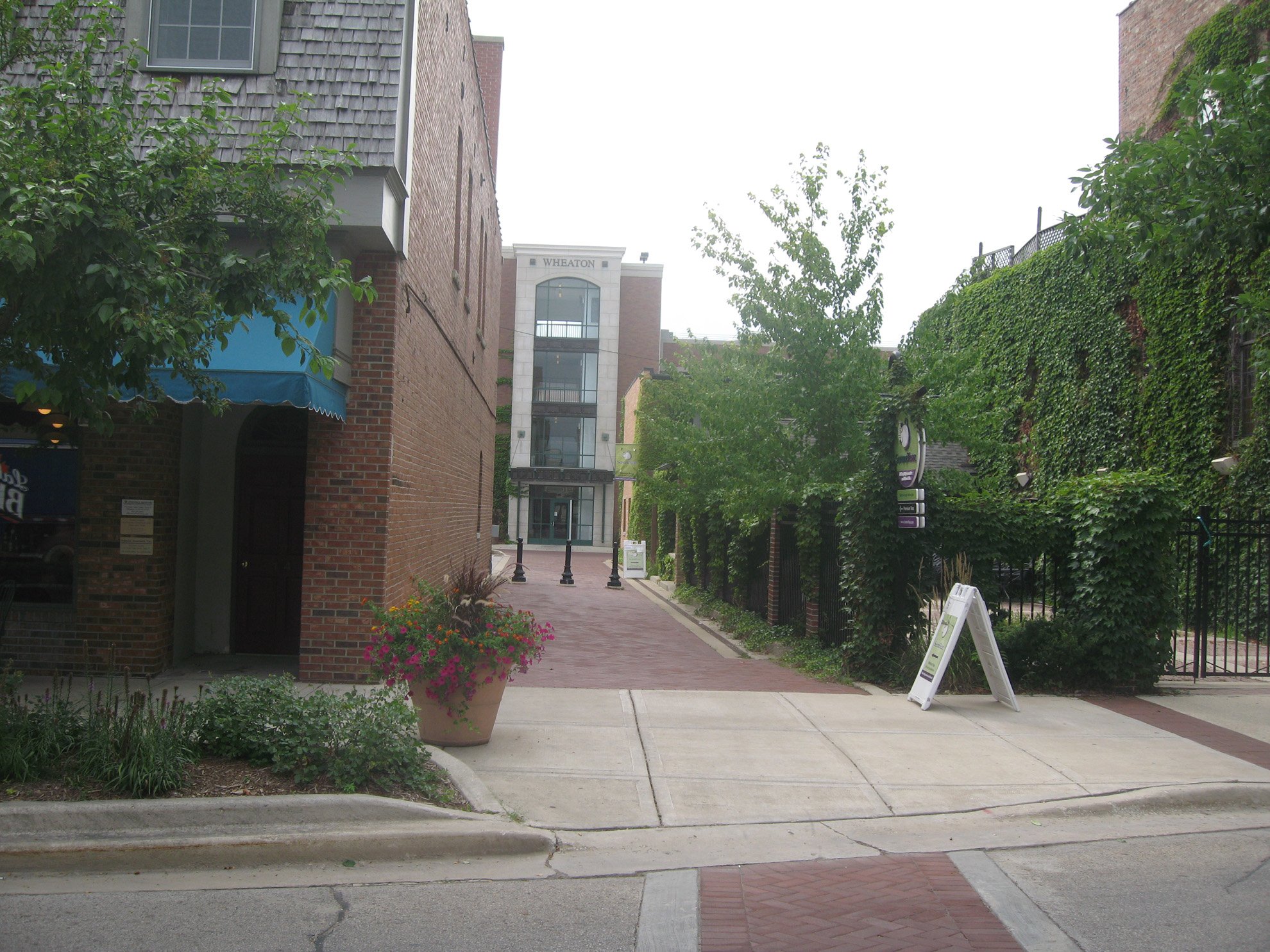 IMG_0793.JPG