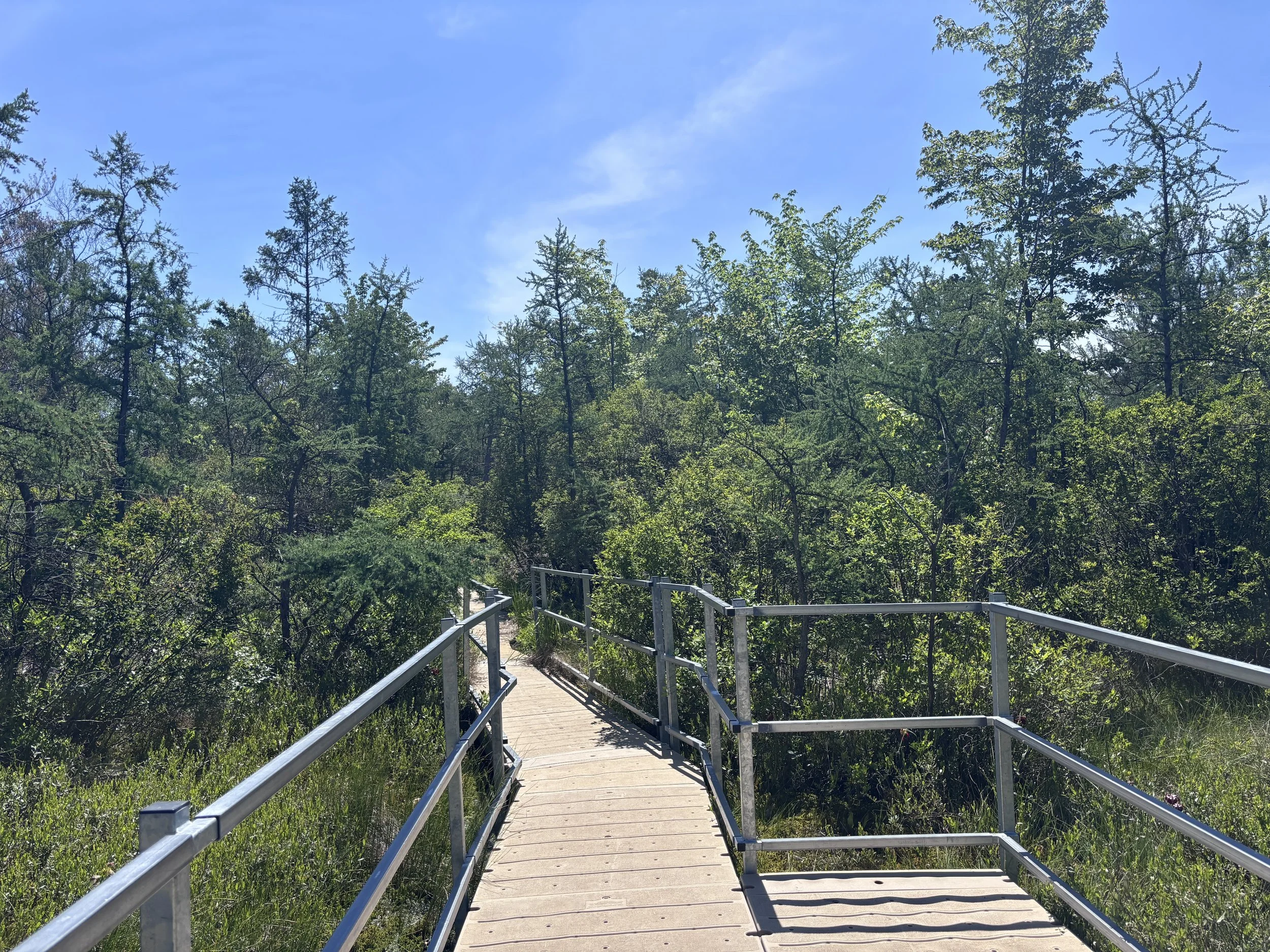 IMG_4444.JPG