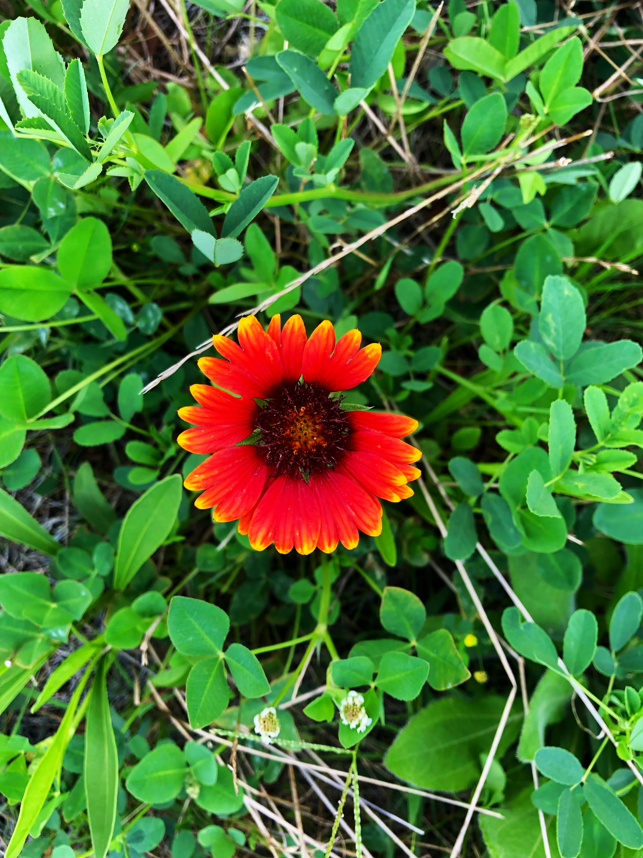 IMG_8878.png